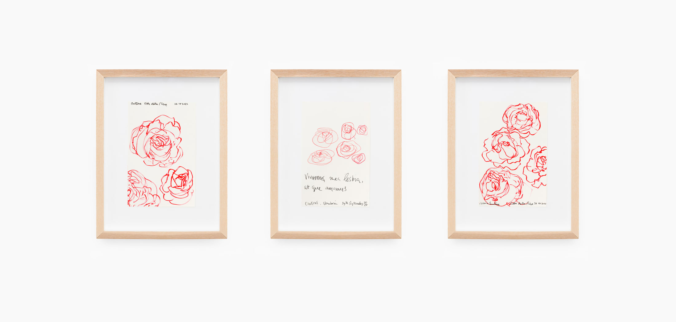 Collecting: Drawings by Victoria Cantons