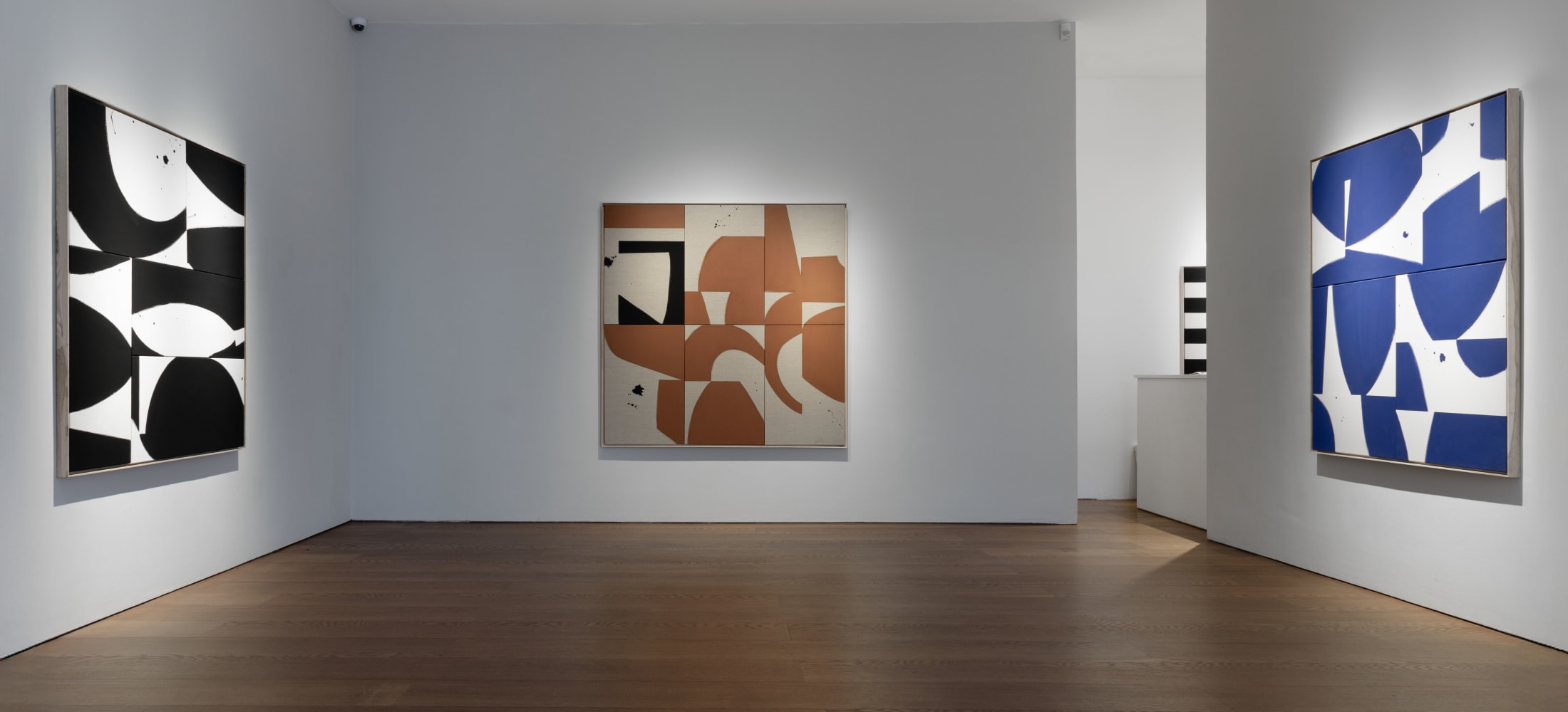 Liza Giles In Flux