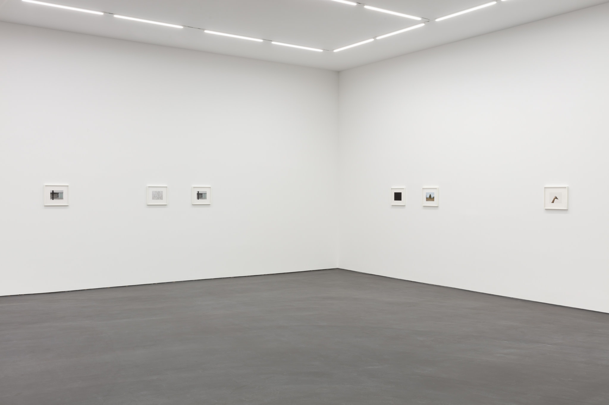 Exhibition view: Andrew Grassie, Still Frame, Esther Schipper, Berlin, 2020. Photo © Andrea Rossetti