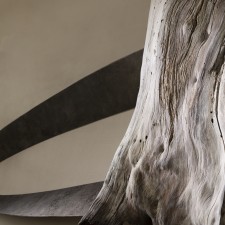 Yves Dana, Aux origines, 2022