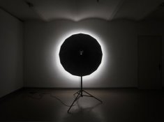 David Maljkovic, Temporary Projections, 2011.