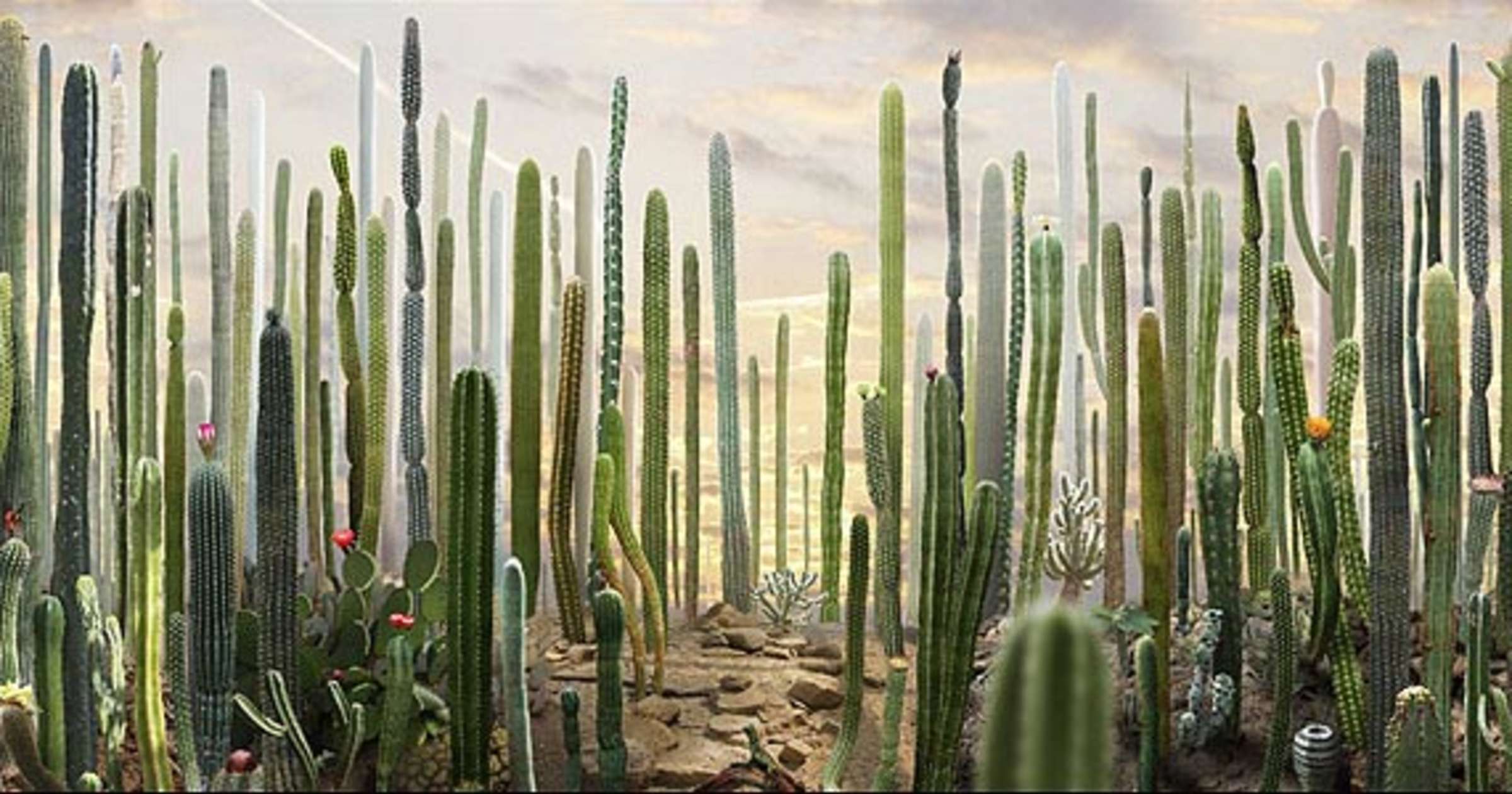 The Office Archives - Ruud van Empel