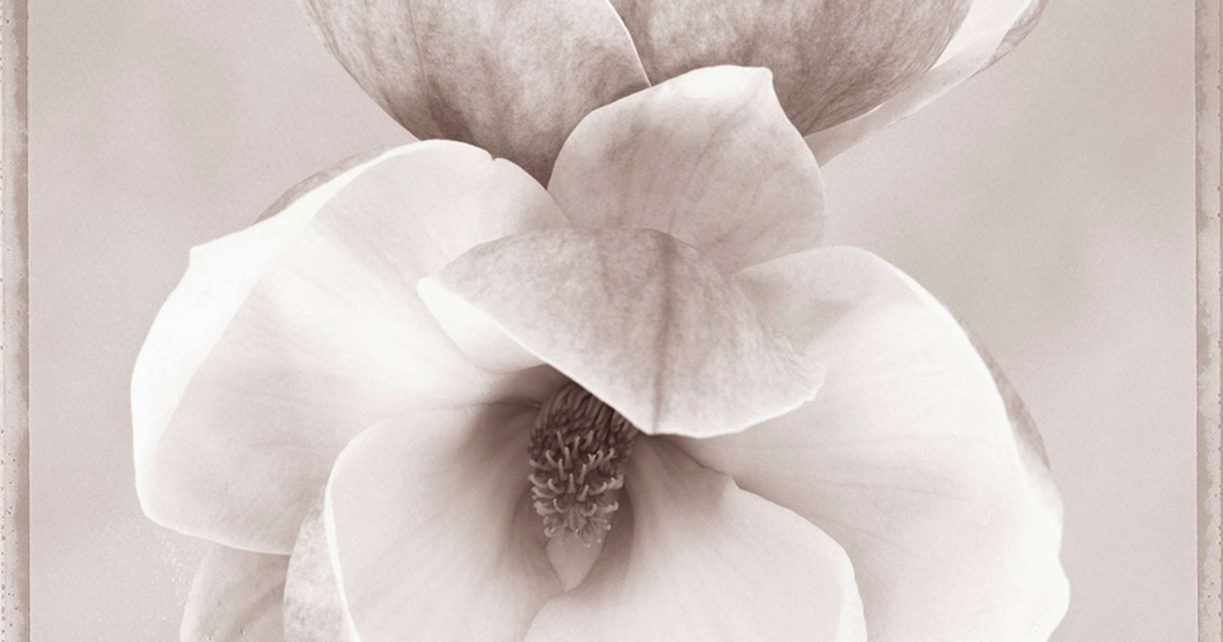 6764f219c67c4c82329d69706c00c5