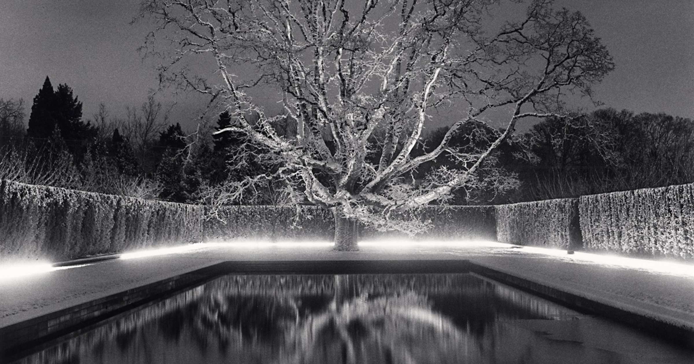 Michael Kenna, Grandfather Oak, Study 59, Beaverton, Oregon