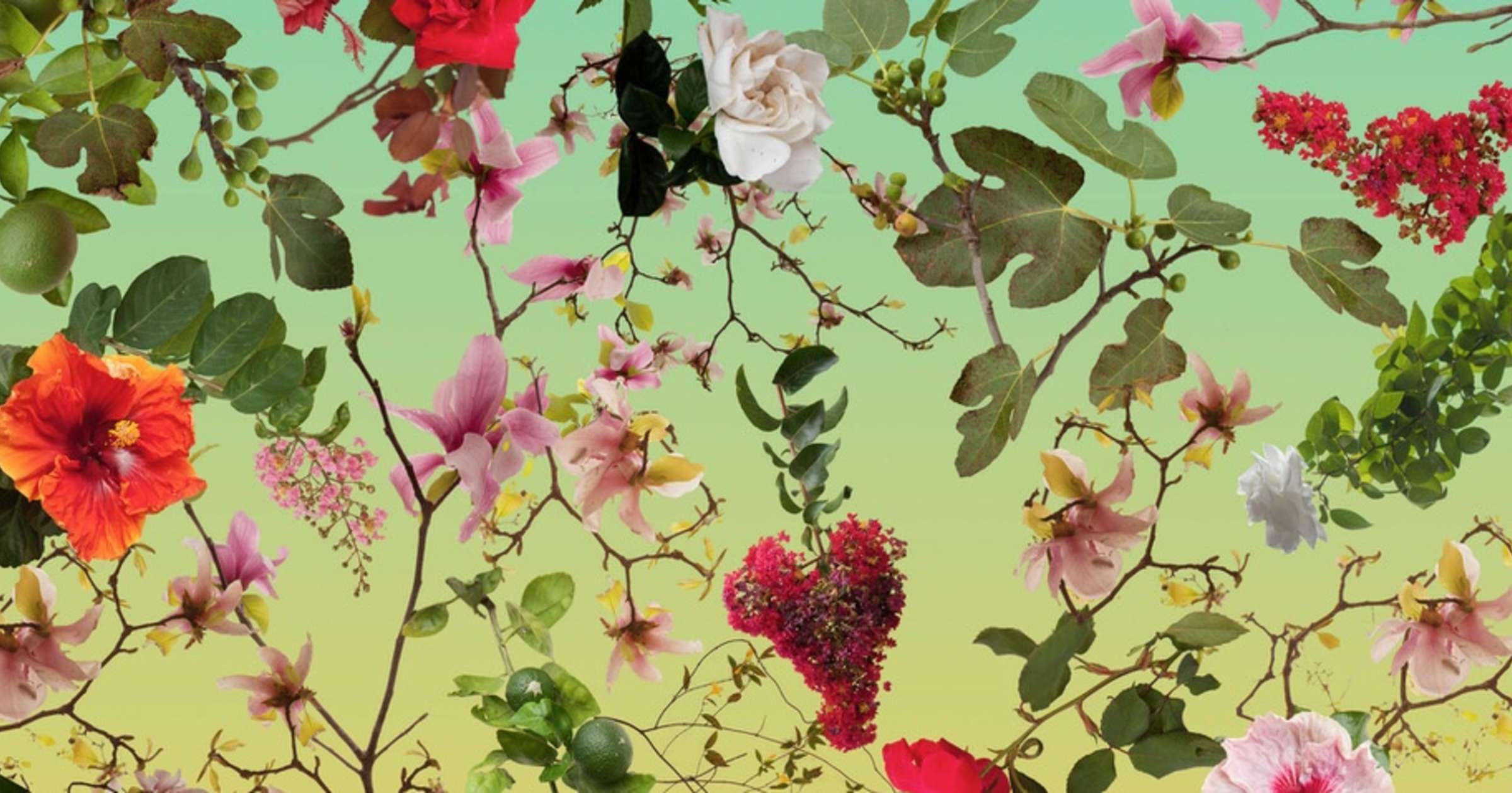 Fallen Fruit April 12 June 29 2019 Jackson Fine Art
