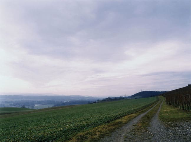 Thomas Struth, Weinberg an der Thur - Nr 21, Winterthur, 1993