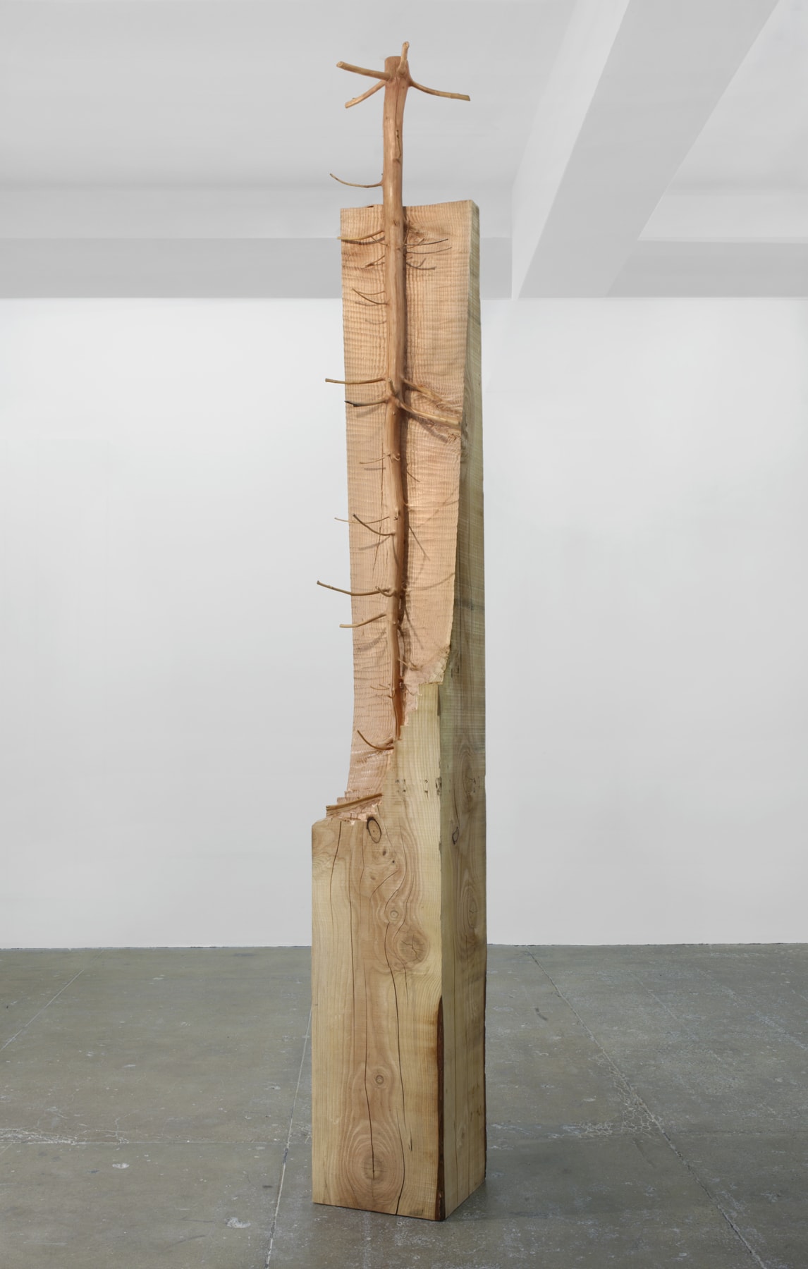 Giuseppe Penone, Nel legno, 2008