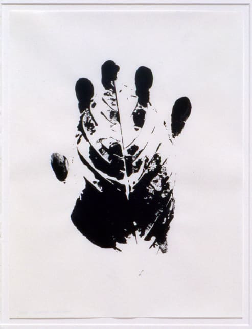 Gabriel Orozco, Fear Not, 2001