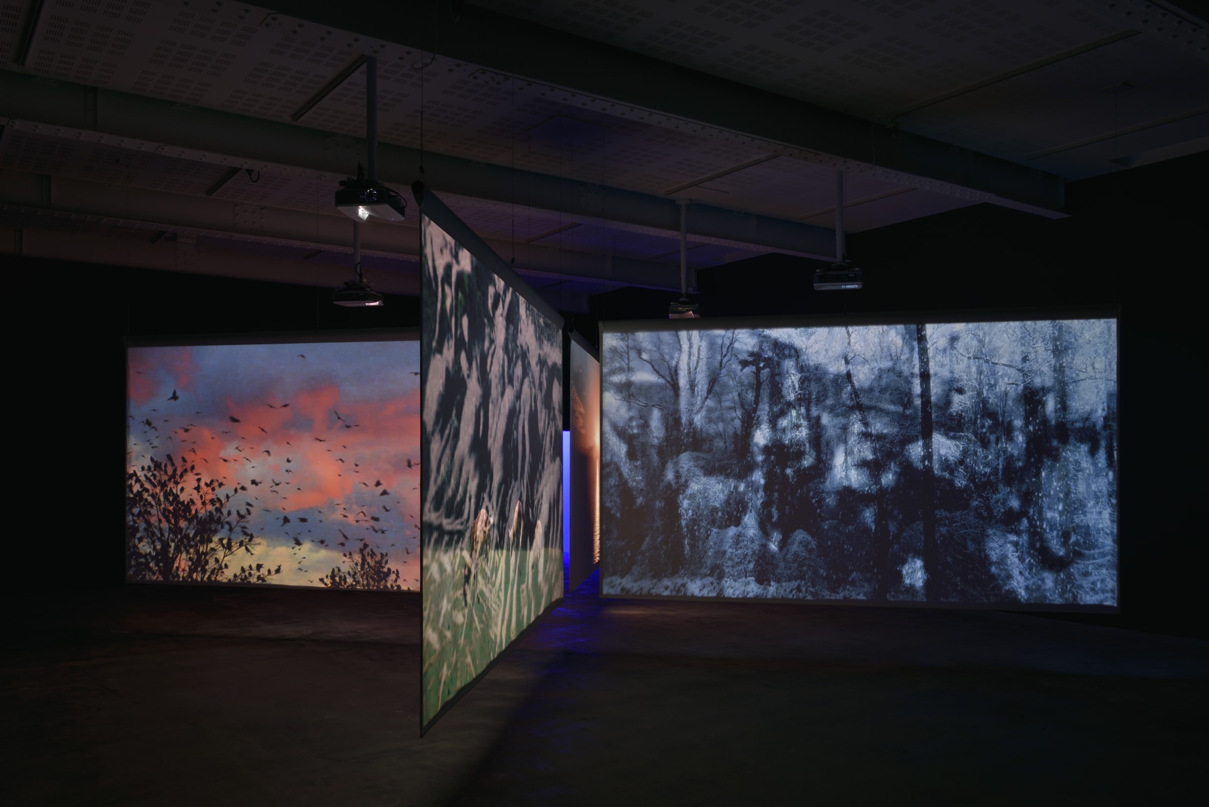 A series of film projections at Marian Goodman Gallery Paris