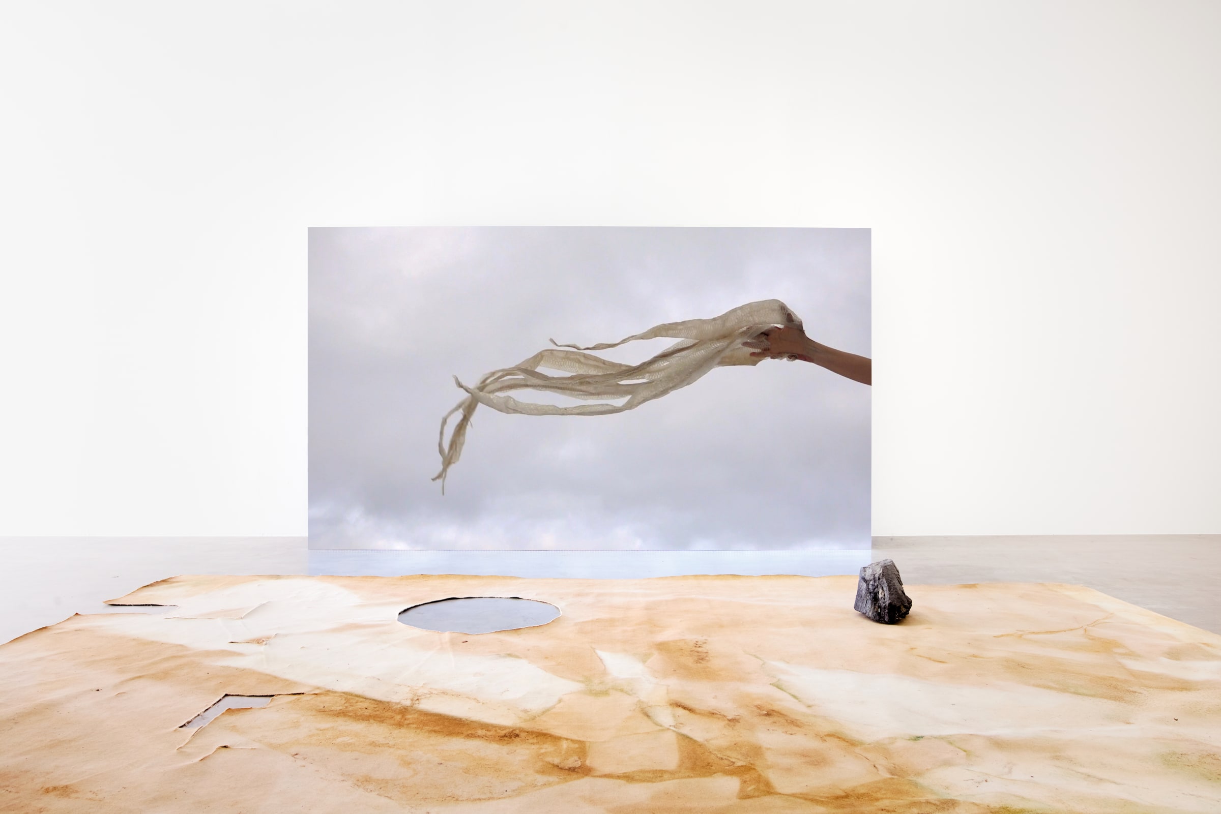 Edith Dekyndt