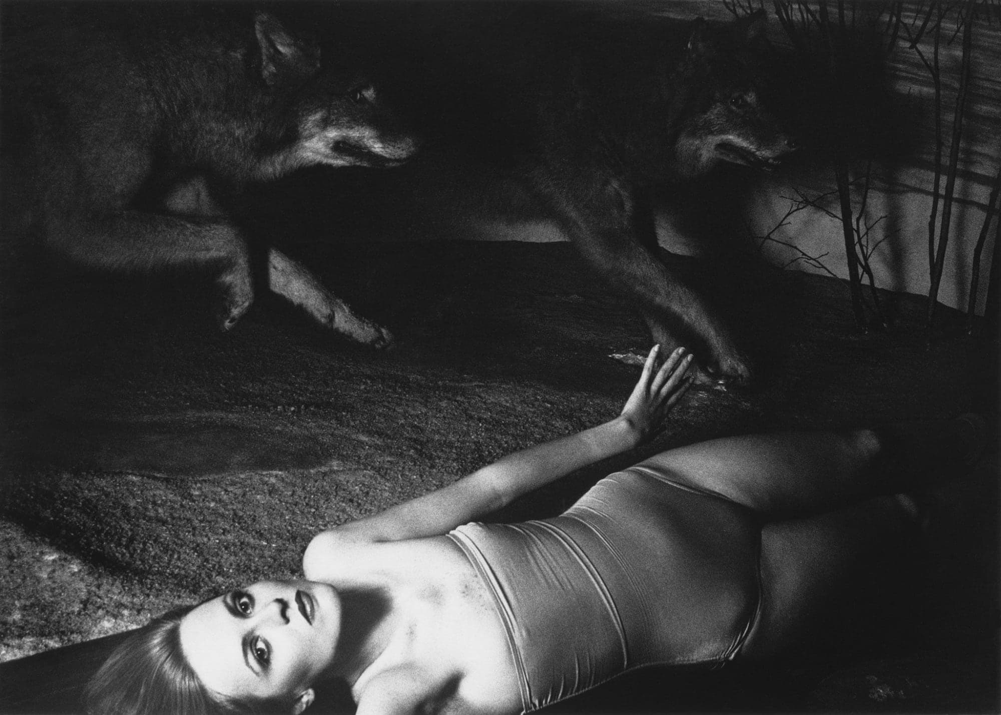 Black and white photograph of a horizontal figure and two running wolves with dramatic lighting.