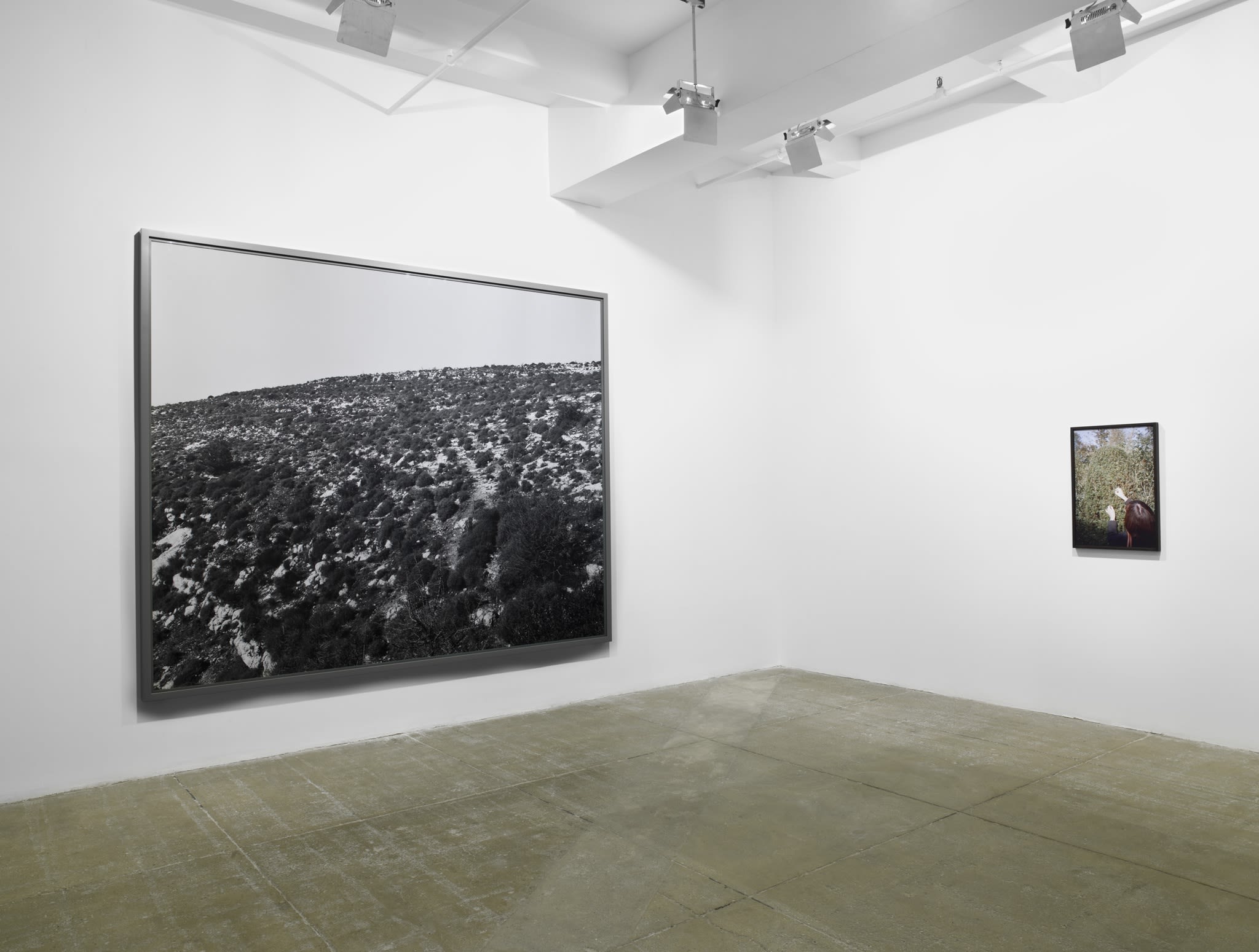 On the left hangs a large, framed black and white photograph of a horizon line. On the right hangs a small, framed color photograph of foliage. 