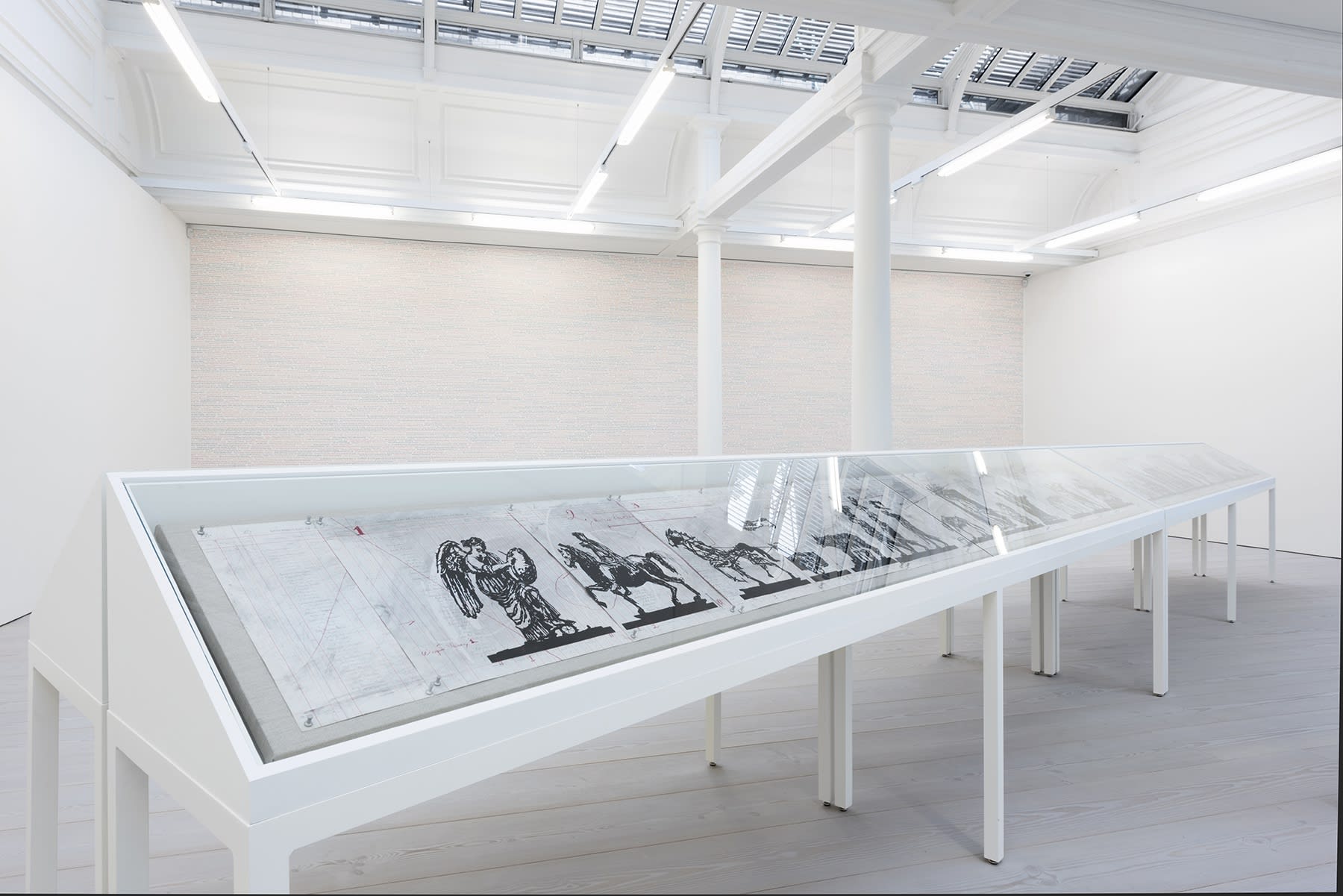Charcoal drawings are displayed in a long vitrine in a white room with skylights.