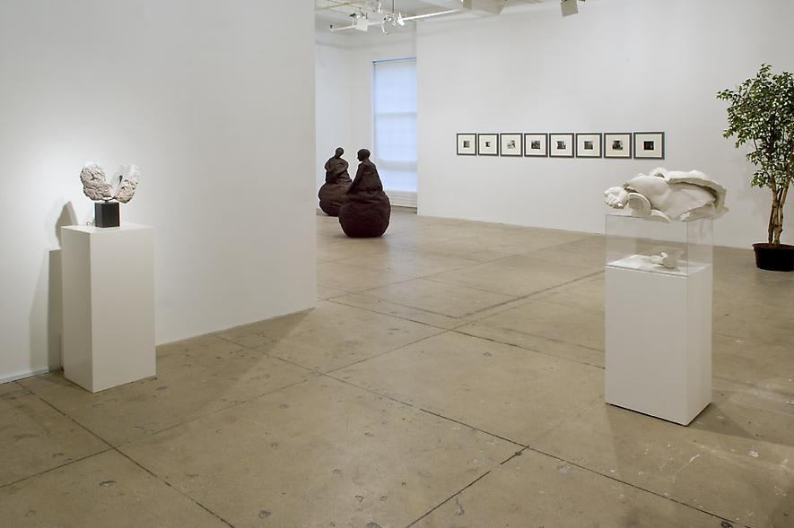 Various sculptures, framed photographs, and a tree sit in a white gallery with a window. 