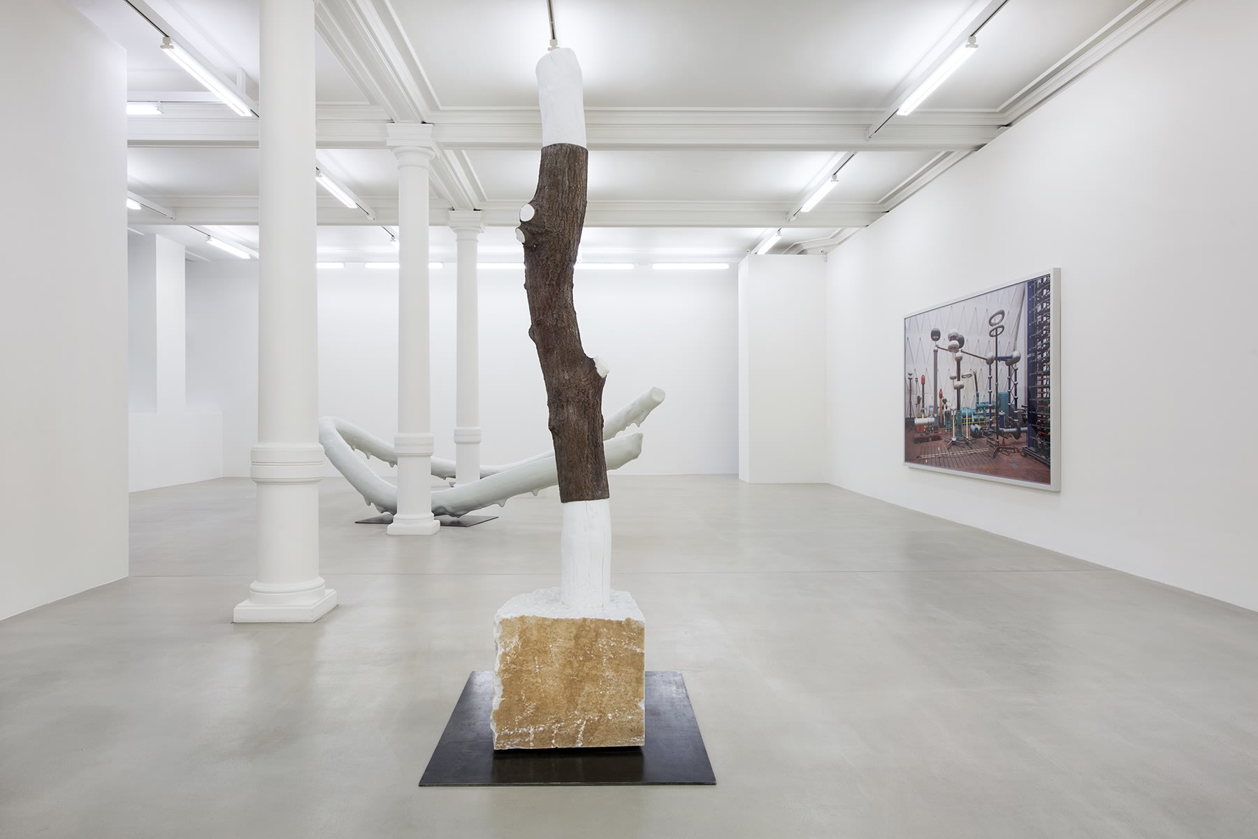 A sculpture of the cut section of a tree trunk sits in the center of the gallery.