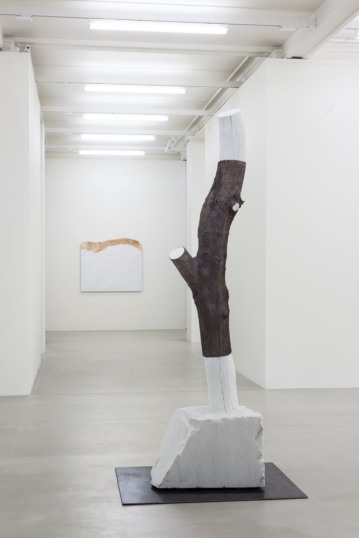 A sculpture of the cut section of a tree trunk sits in the center of the gallery.
