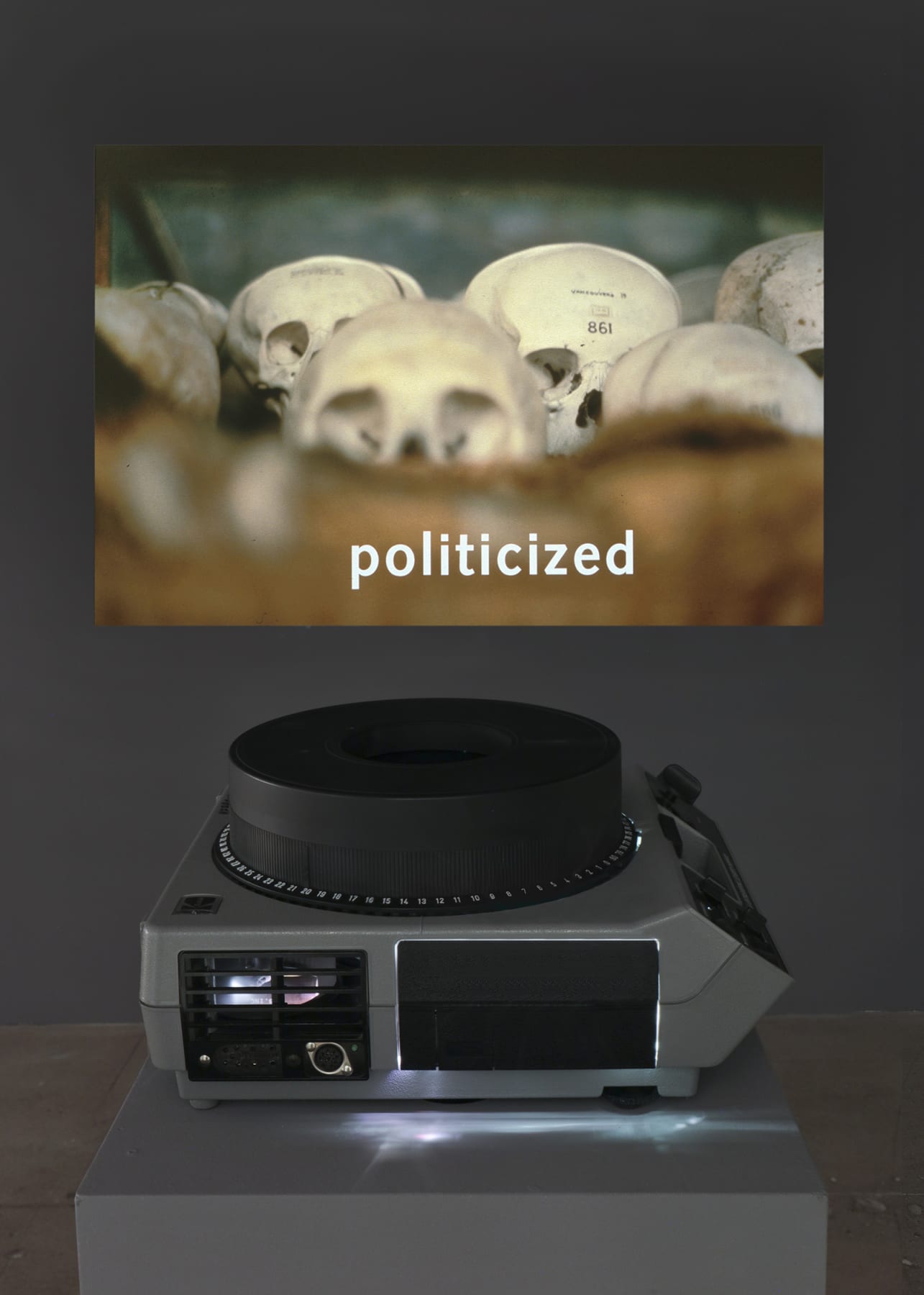 Installation view of Lothar Baumgarten's projection, containing skulls with the word "politicized" underneath. 