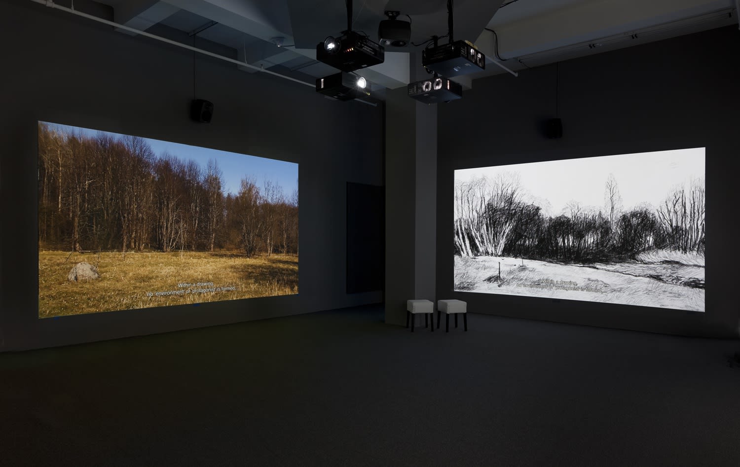 Two screens projecting a photographic landscape of forest on the left and on the right a drawn landscape of a forest.