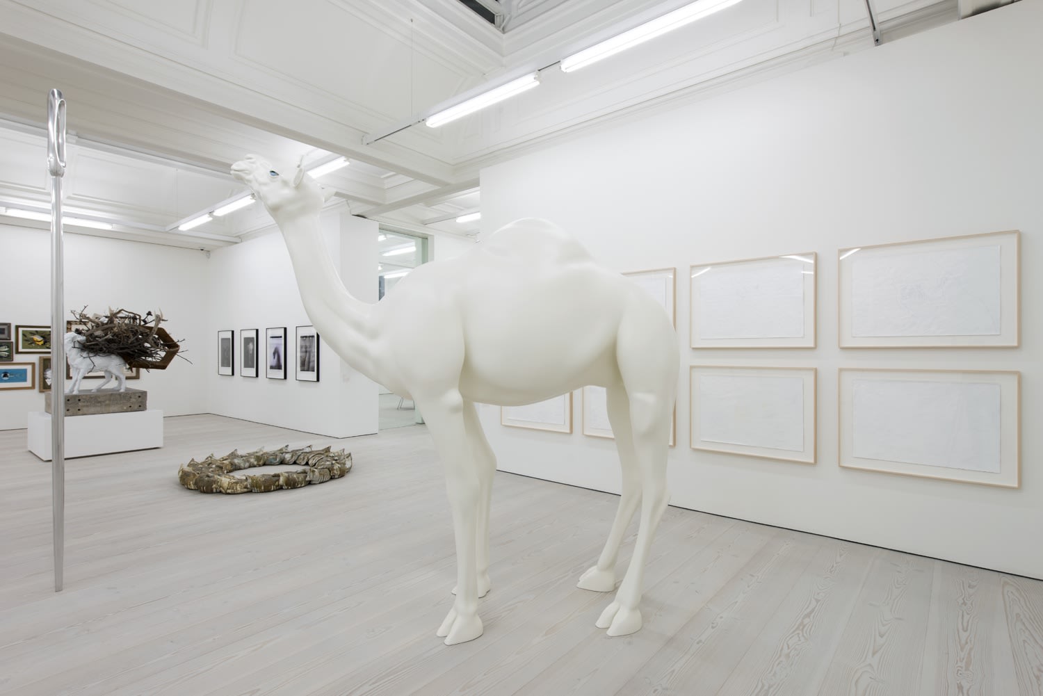 Installation view of white camel statue with blue eyes.