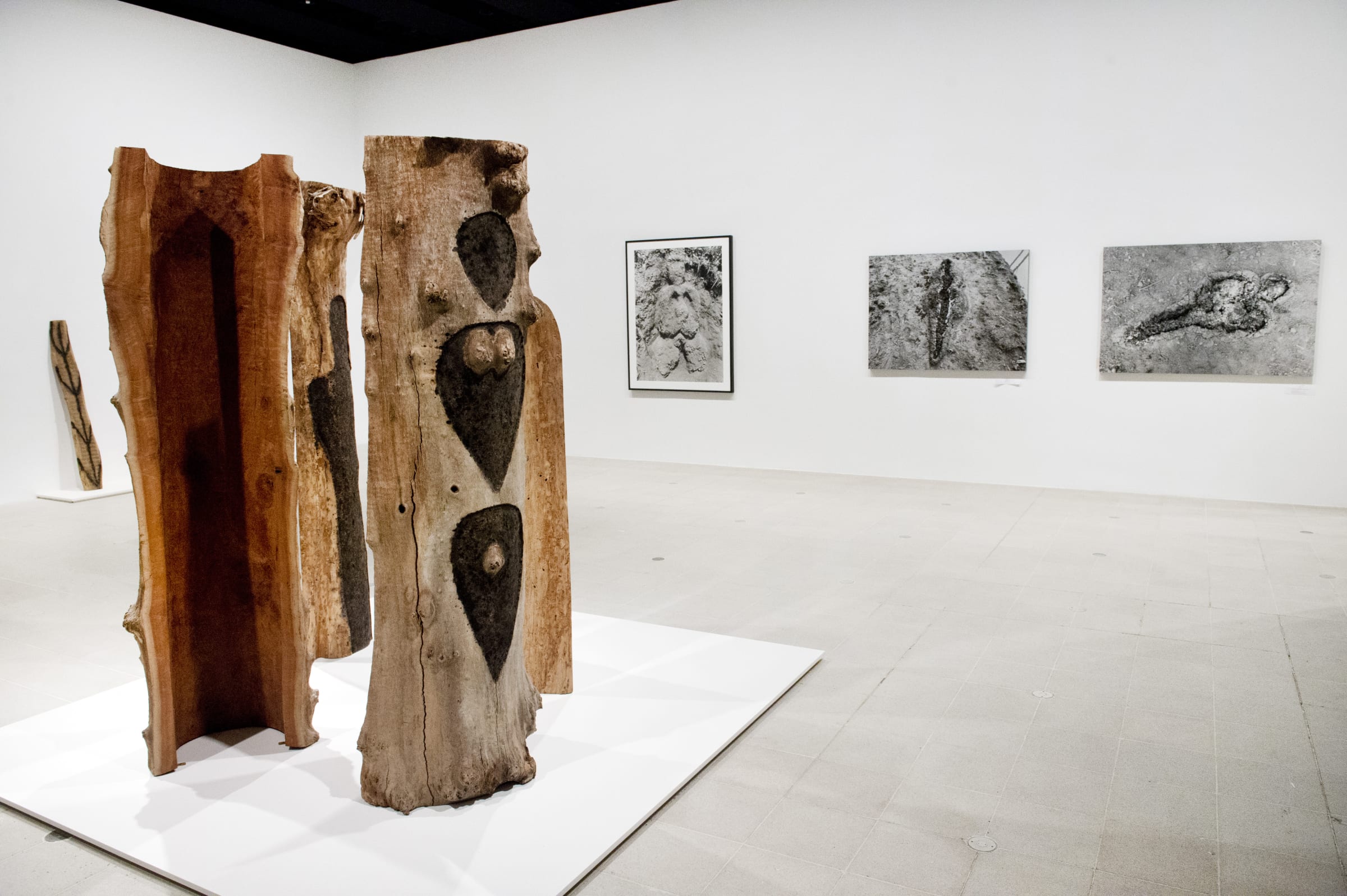 Ana Mendieta