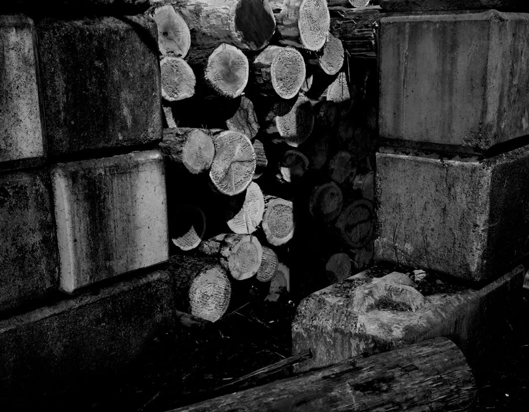 Dark black and white image with sharp shadows of logs of wood. 