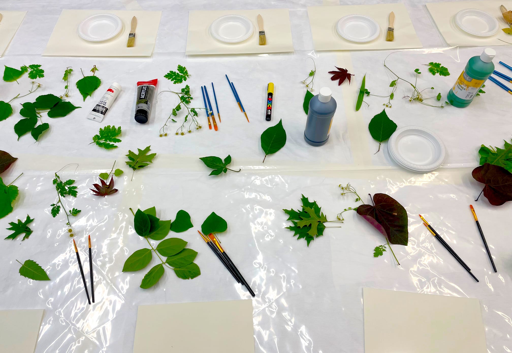 Collage of leaves for classroom session regarding the work of Gabriel Orozco
