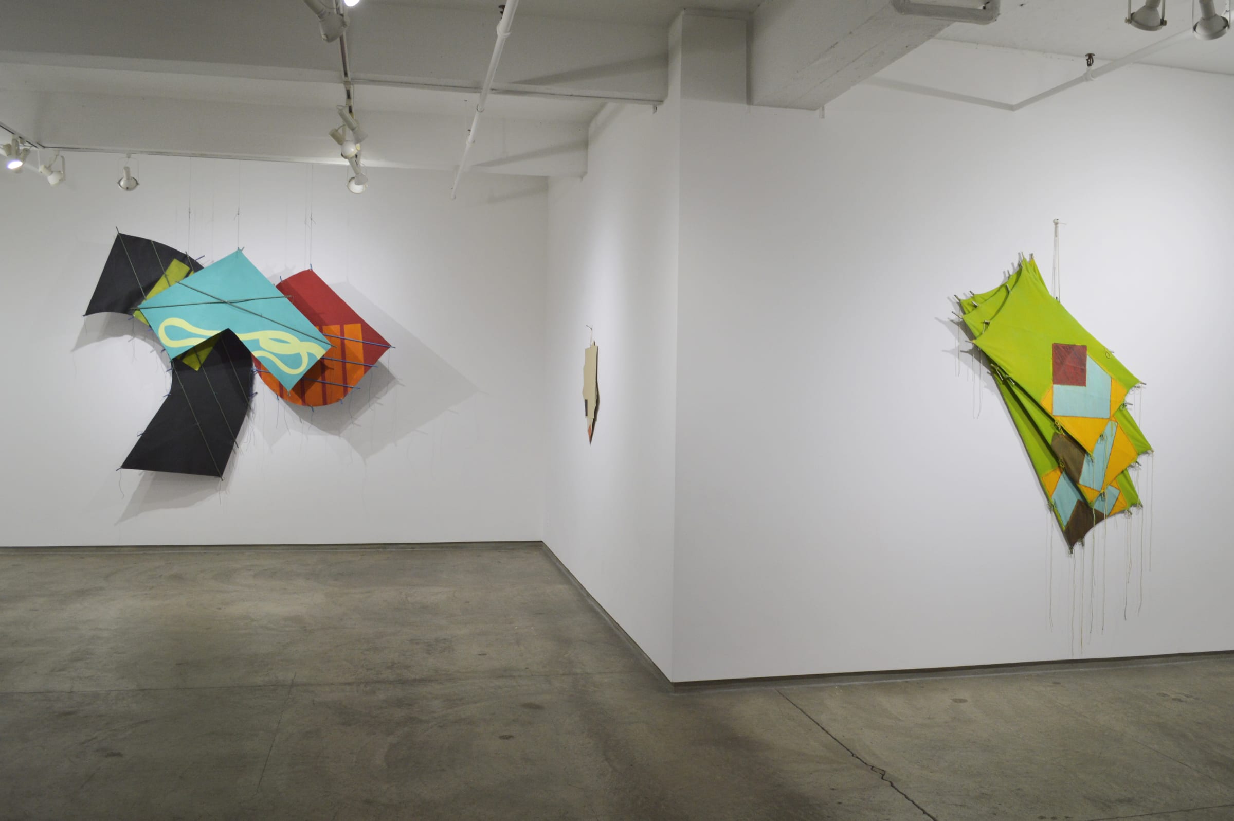 Richard Smith Kite Paintings