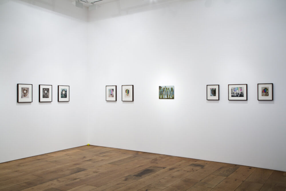 Julie Cockburn Portraits and Landscapes