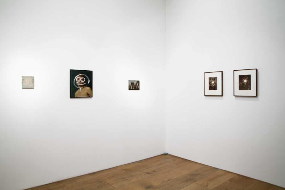 Julie Cockburn Portraits and Landscapes