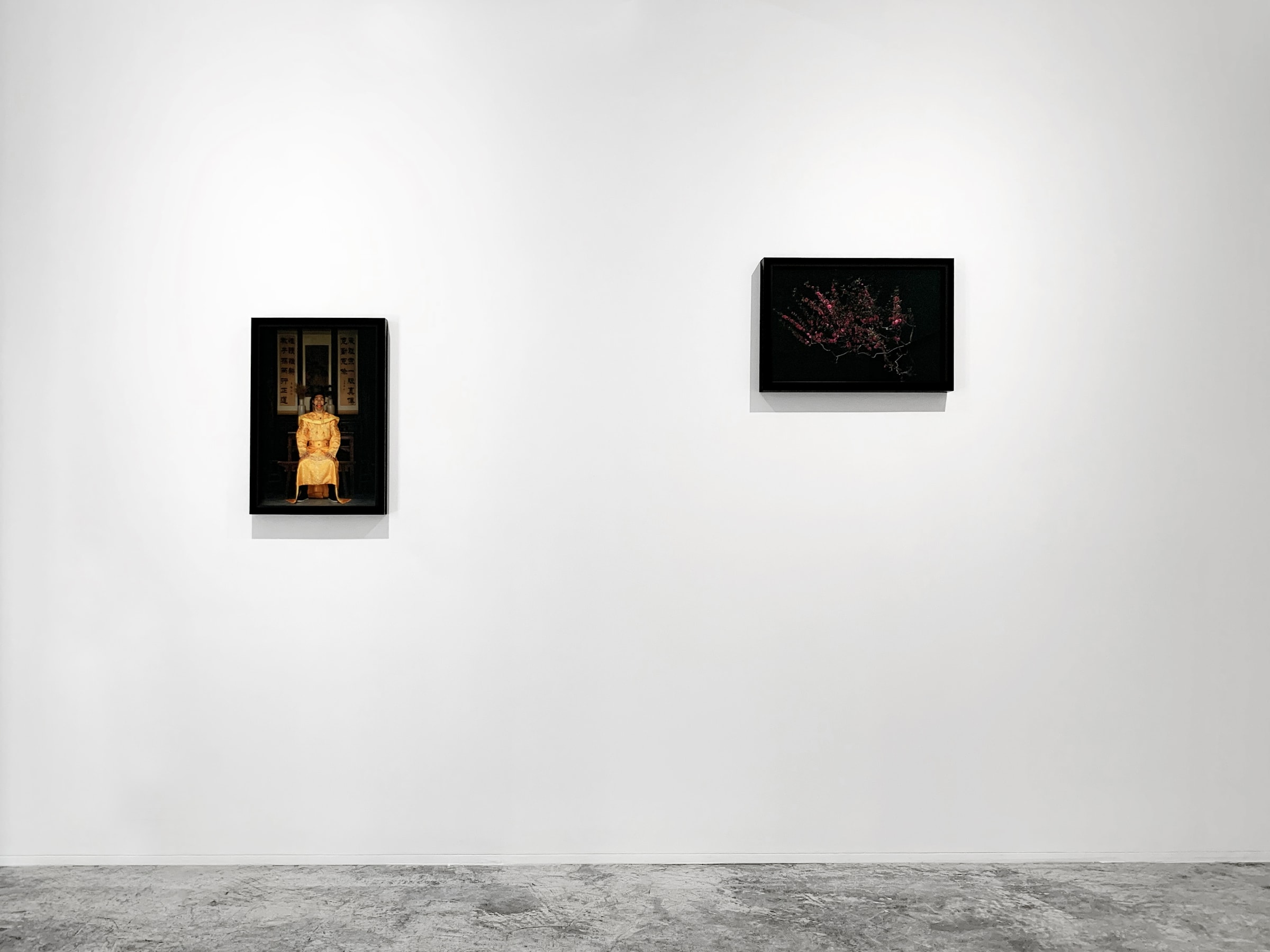 Shen Wei Self