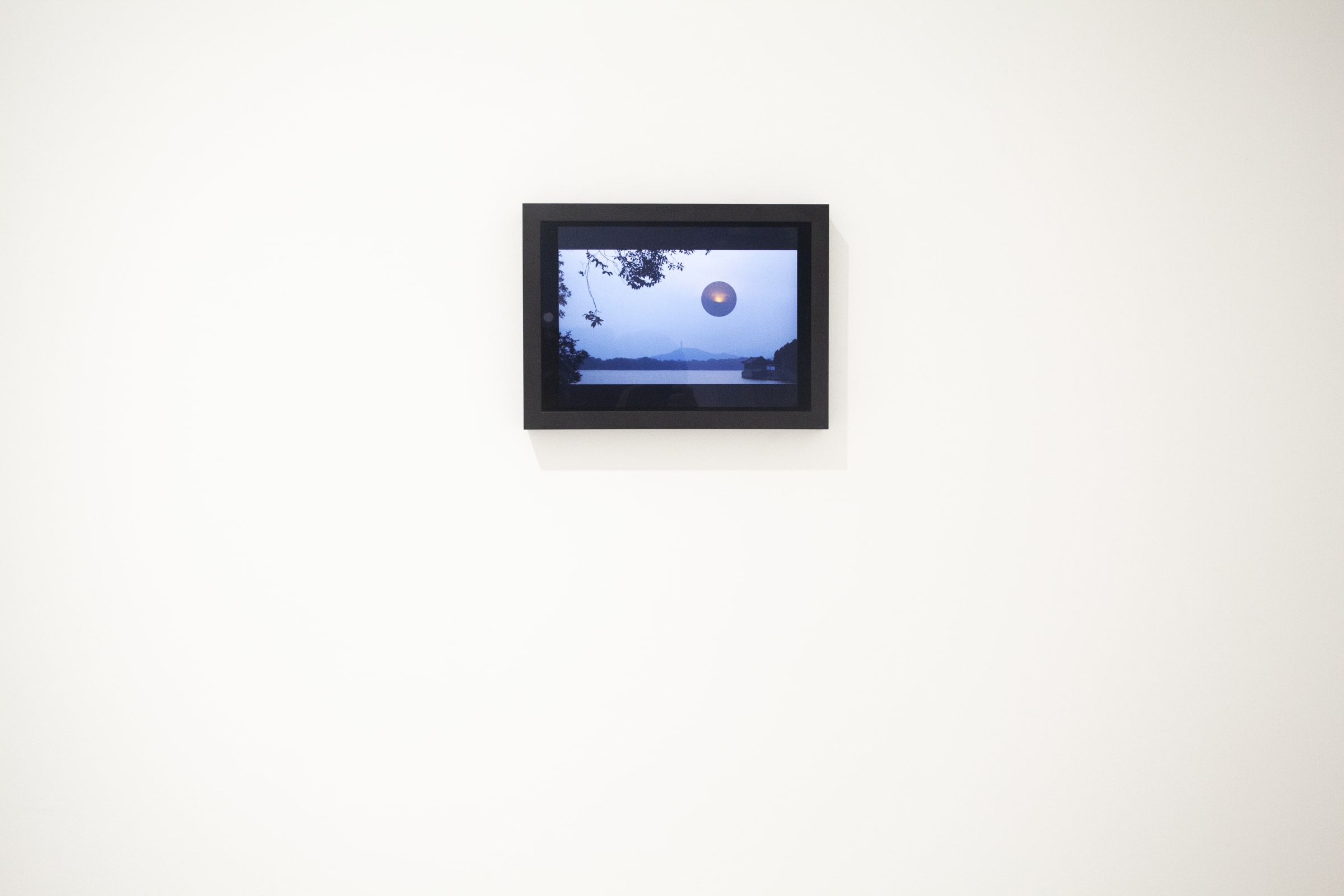 Shen Wei Self