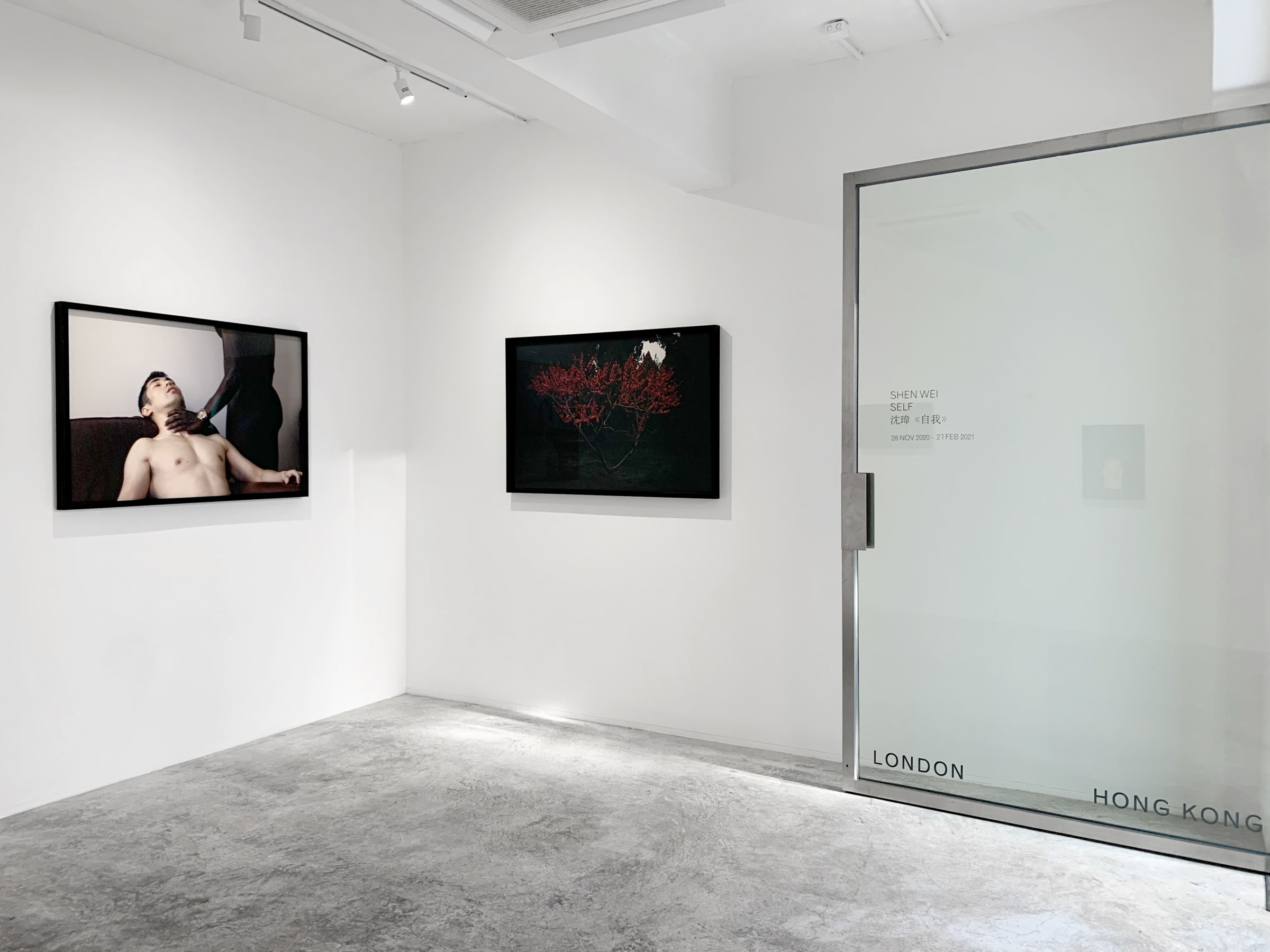 Shen Wei Self
