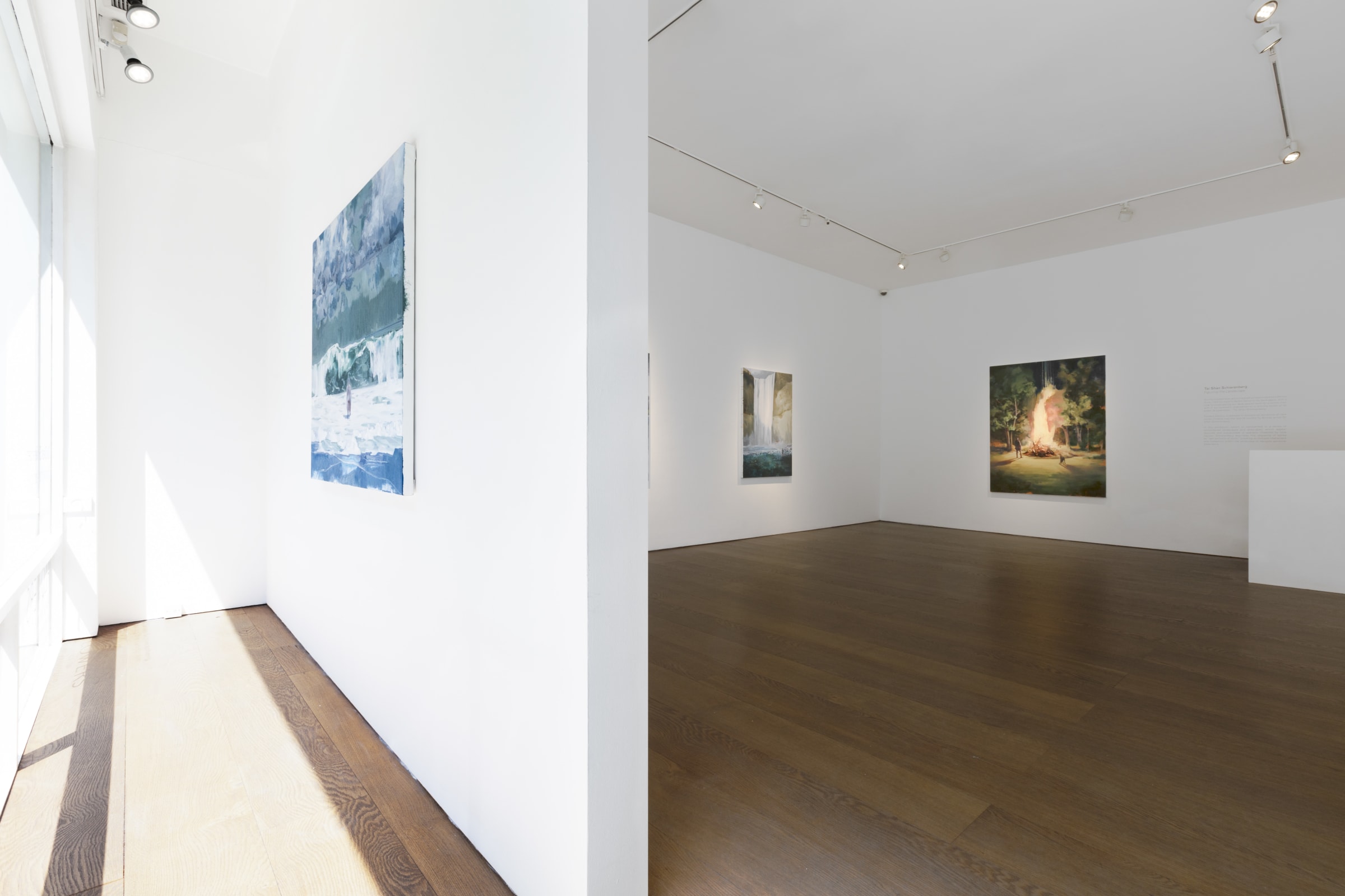 Tai Shan Schierenberg Figuring the Landscape