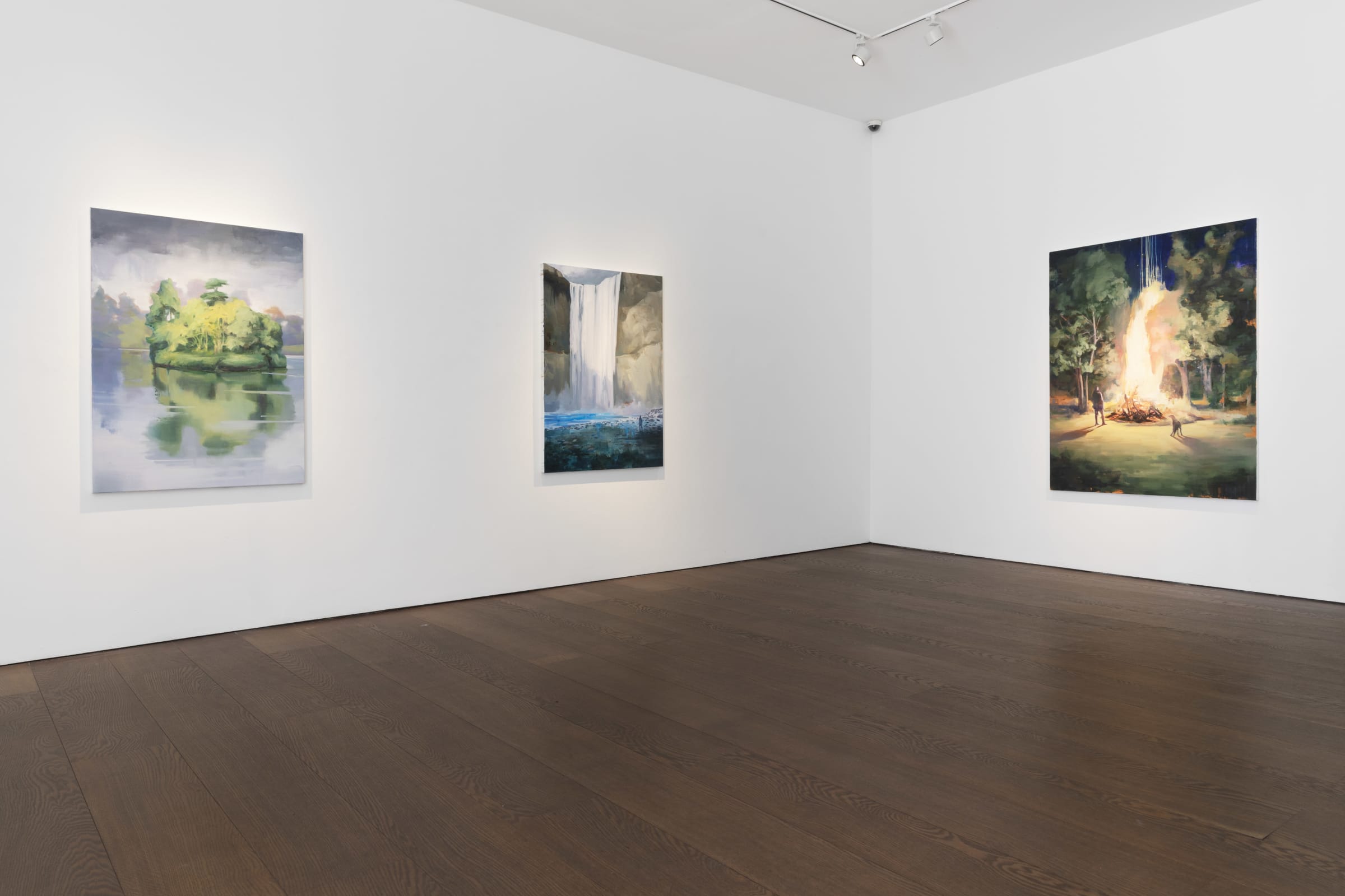 Tai Shan Schierenberg Figuring the Landscape