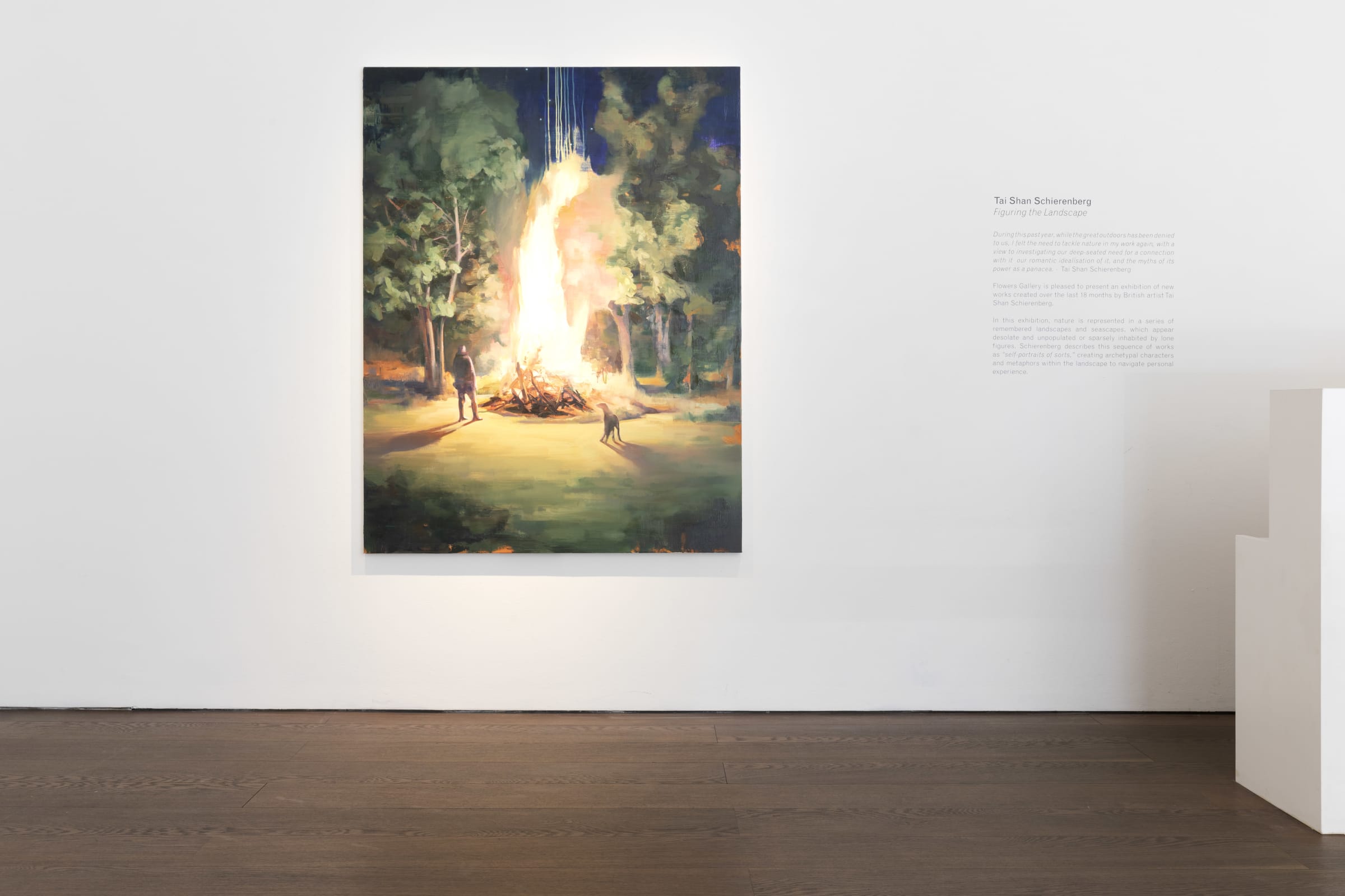 Tai Shan Schierenberg Figuring the Landscape