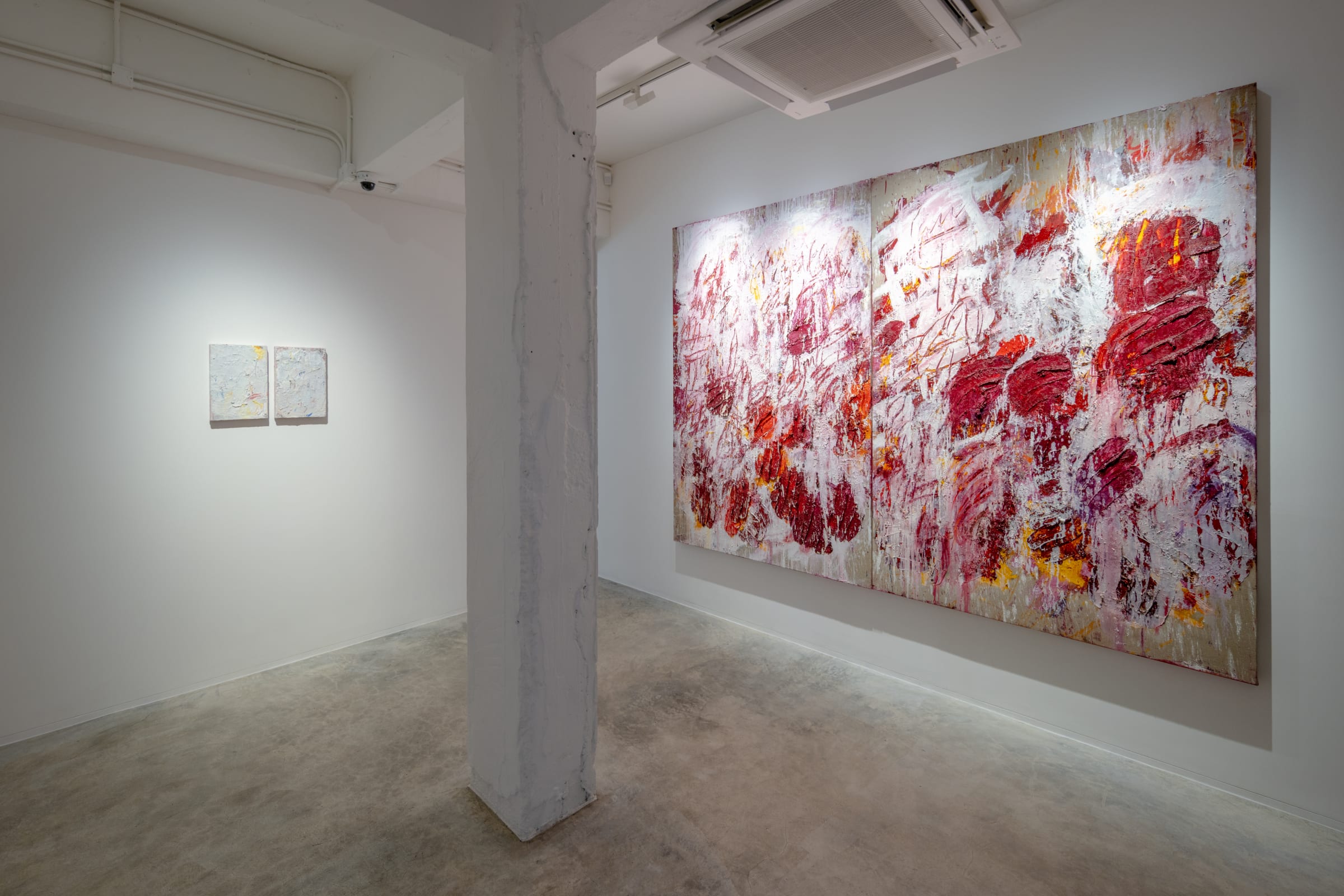 Aida Tomescu Into a carpet made of water