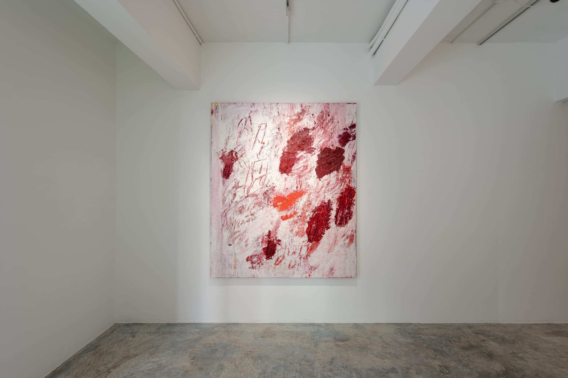 Aida Tomescu Into a carpet made of water