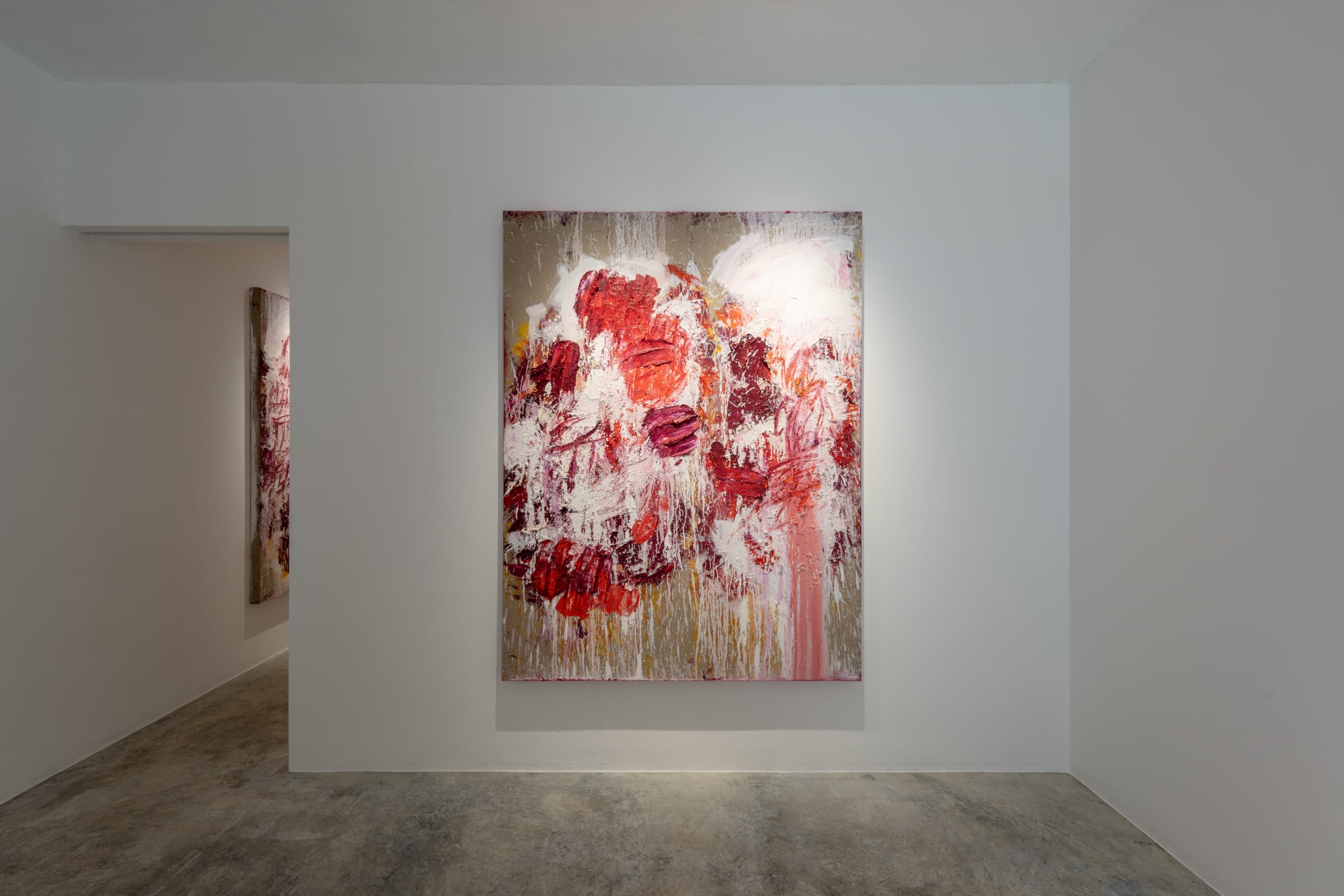 Aida Tomescu Into a carpet made of water