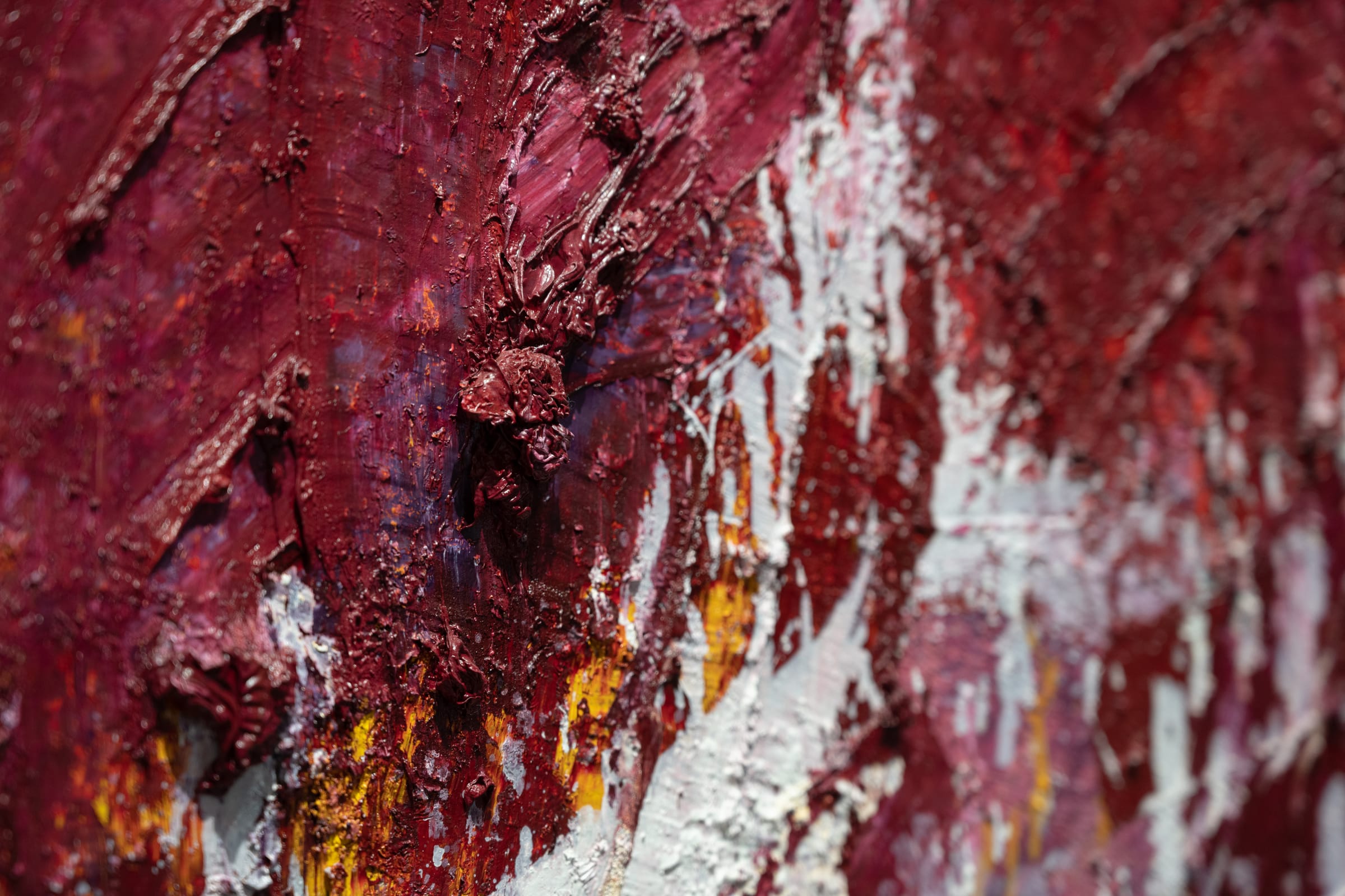 Aida Tomescu Into a carpet made of water