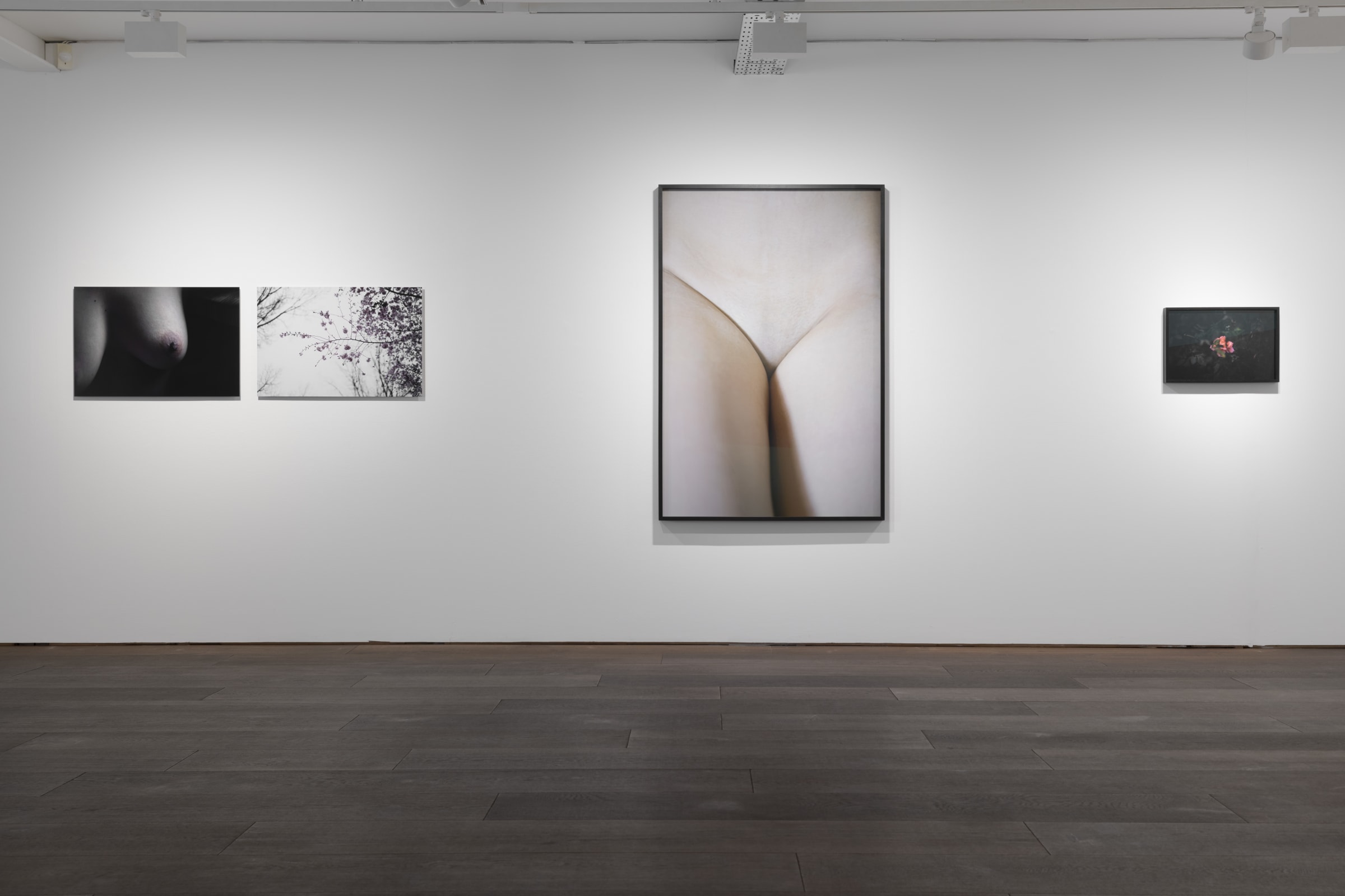 Shen Wei A Season Particular