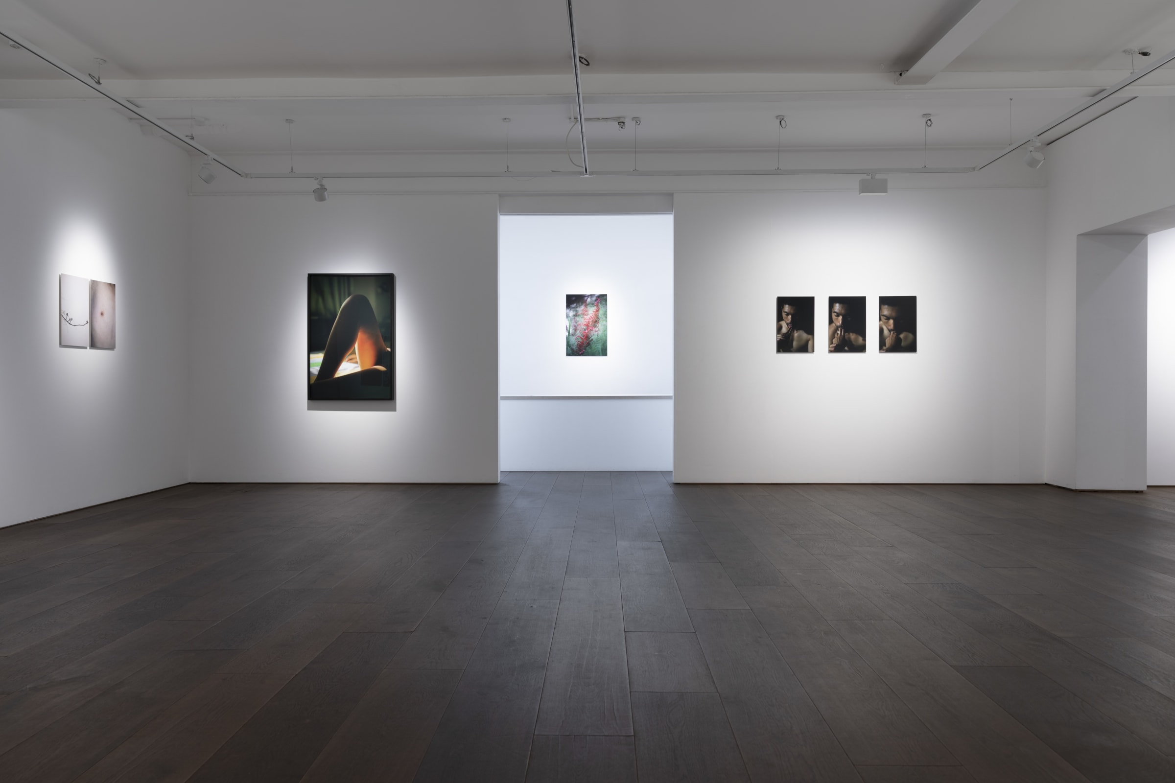Shen Wei A Season Particular