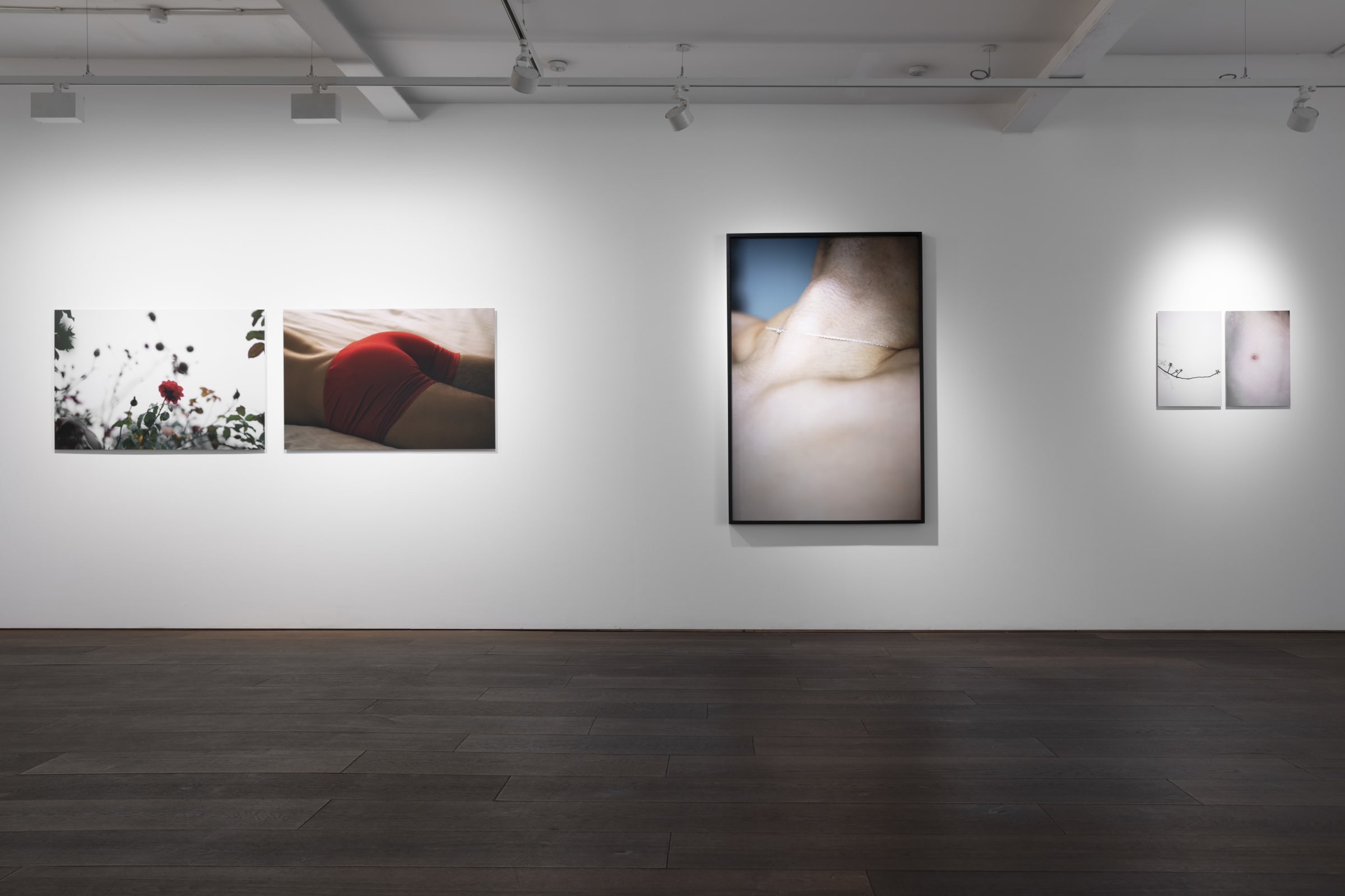 Shen Wei A Season Particular