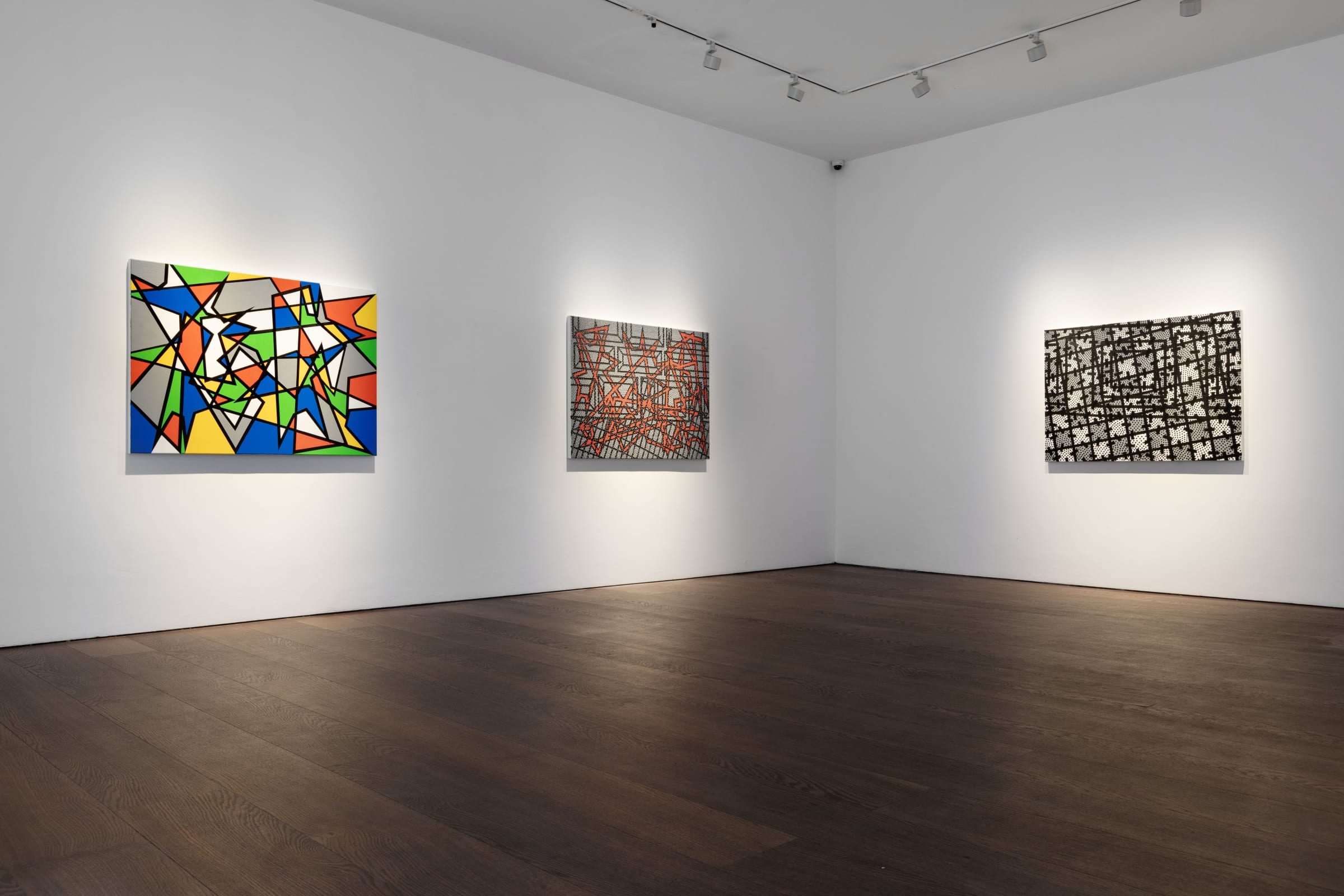 Bernard Cohen Things Seen