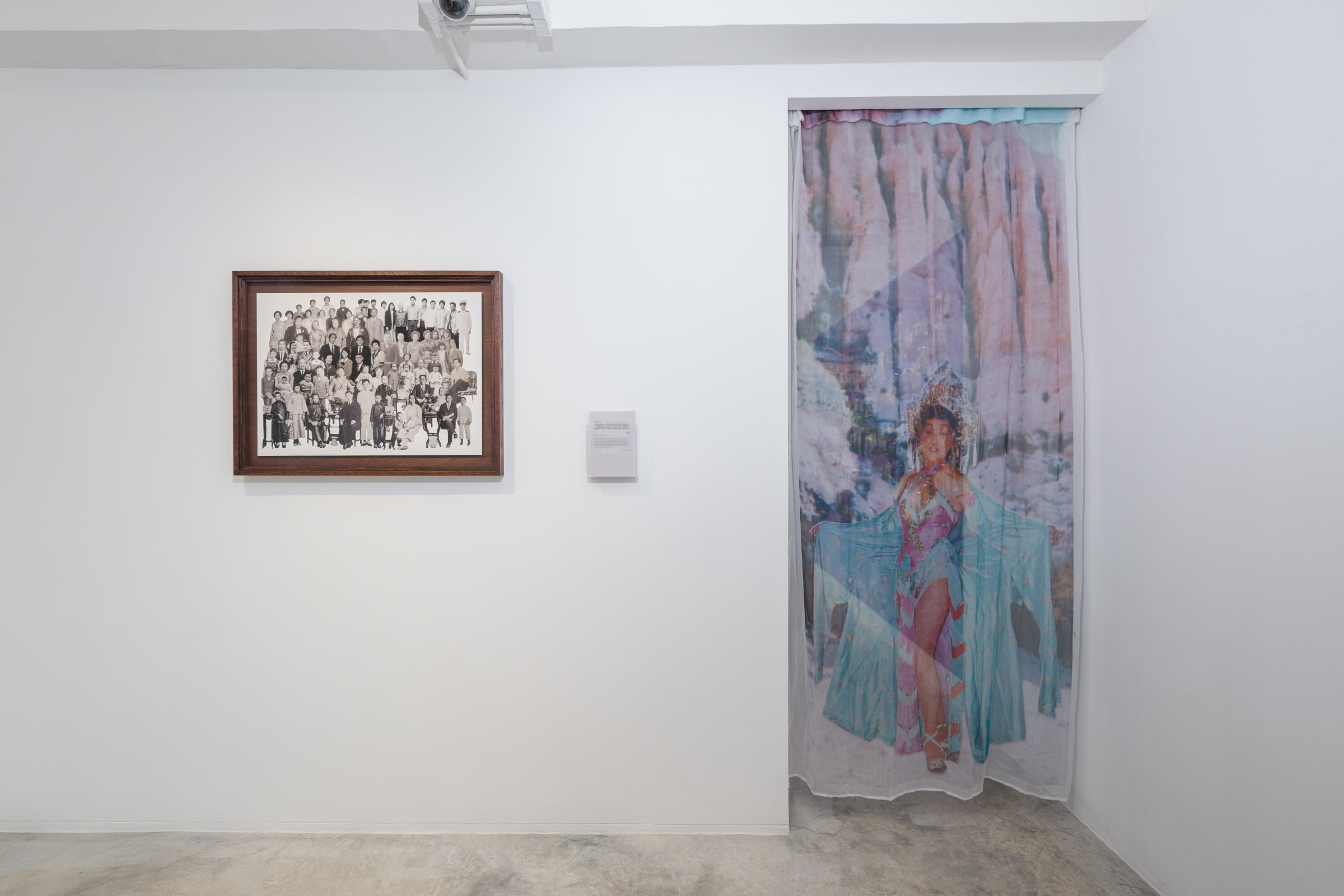 Luka Yuanyuan Yang Time Capsule