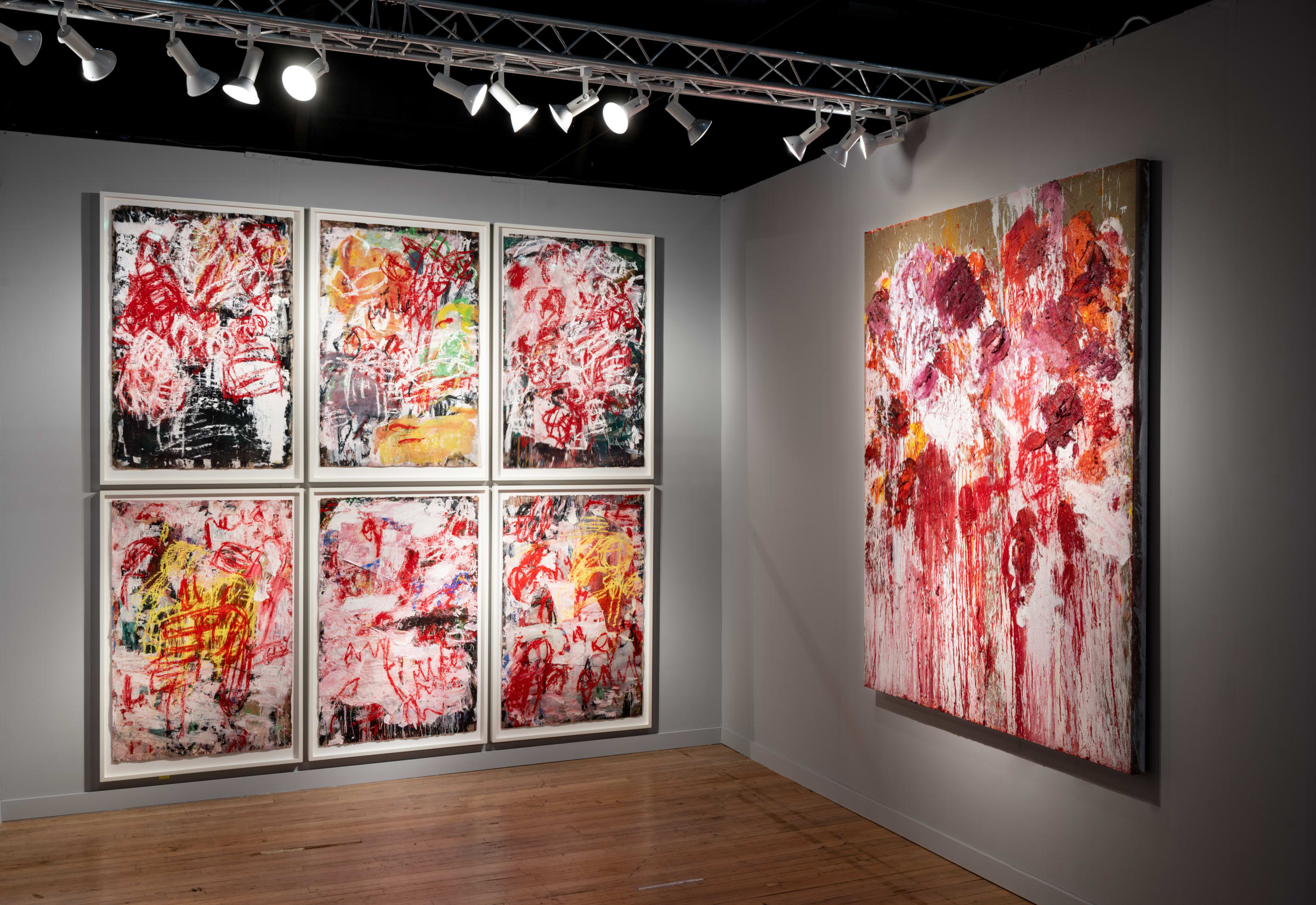 Aida Tomescu Torn through the white