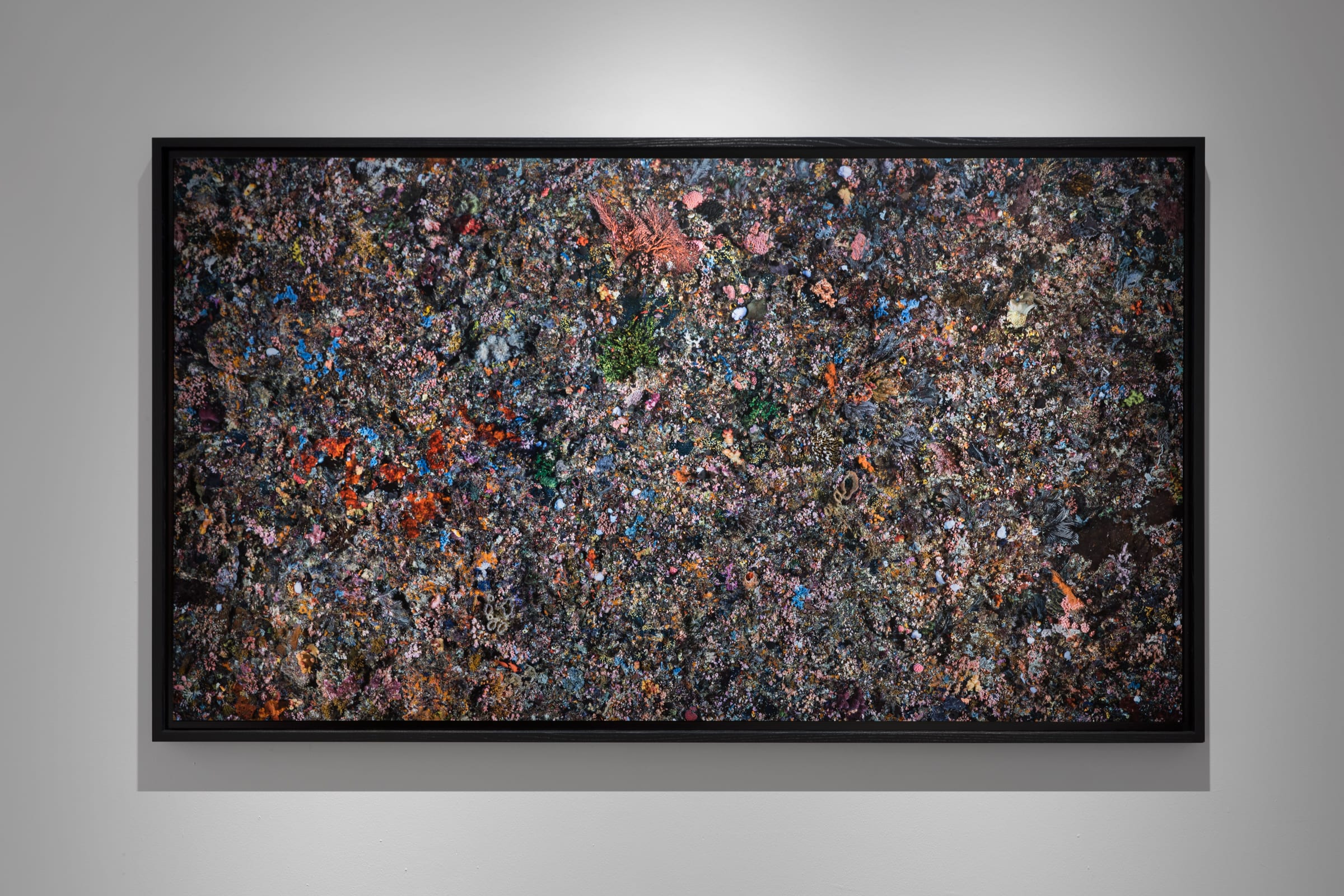 Edward Burtynsky The Human Signature