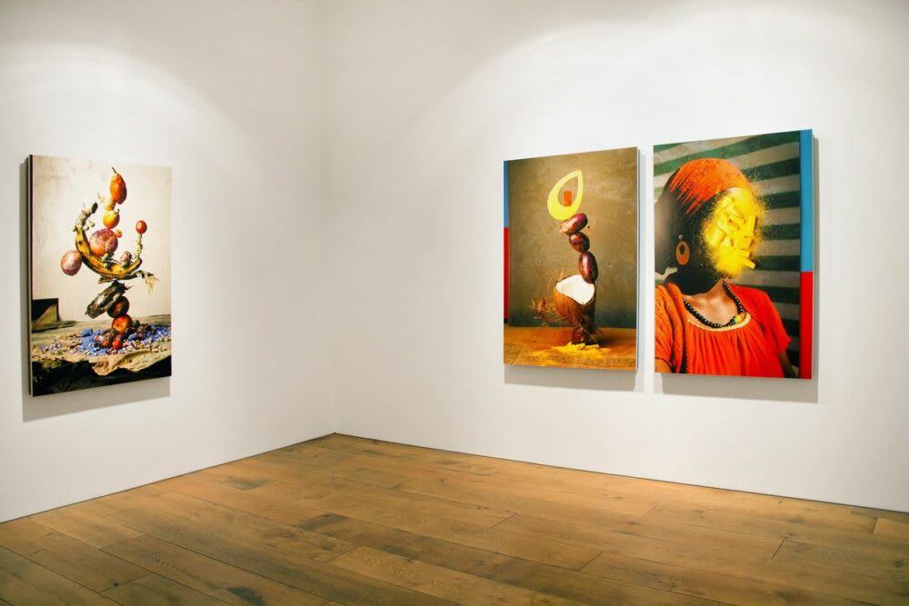 Lorenzo Vitturi | Dalston Anatomy | Flowers Gallery