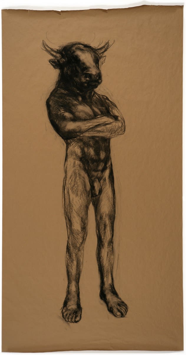 Nicola Hicks Drawings