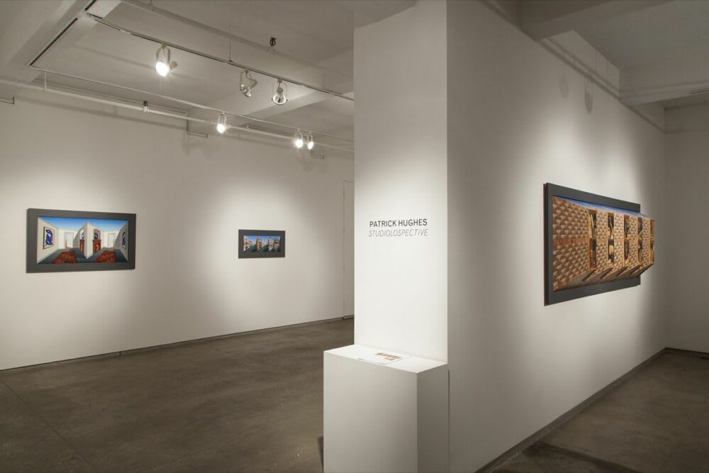 Patrick Hughes Studiolospective
