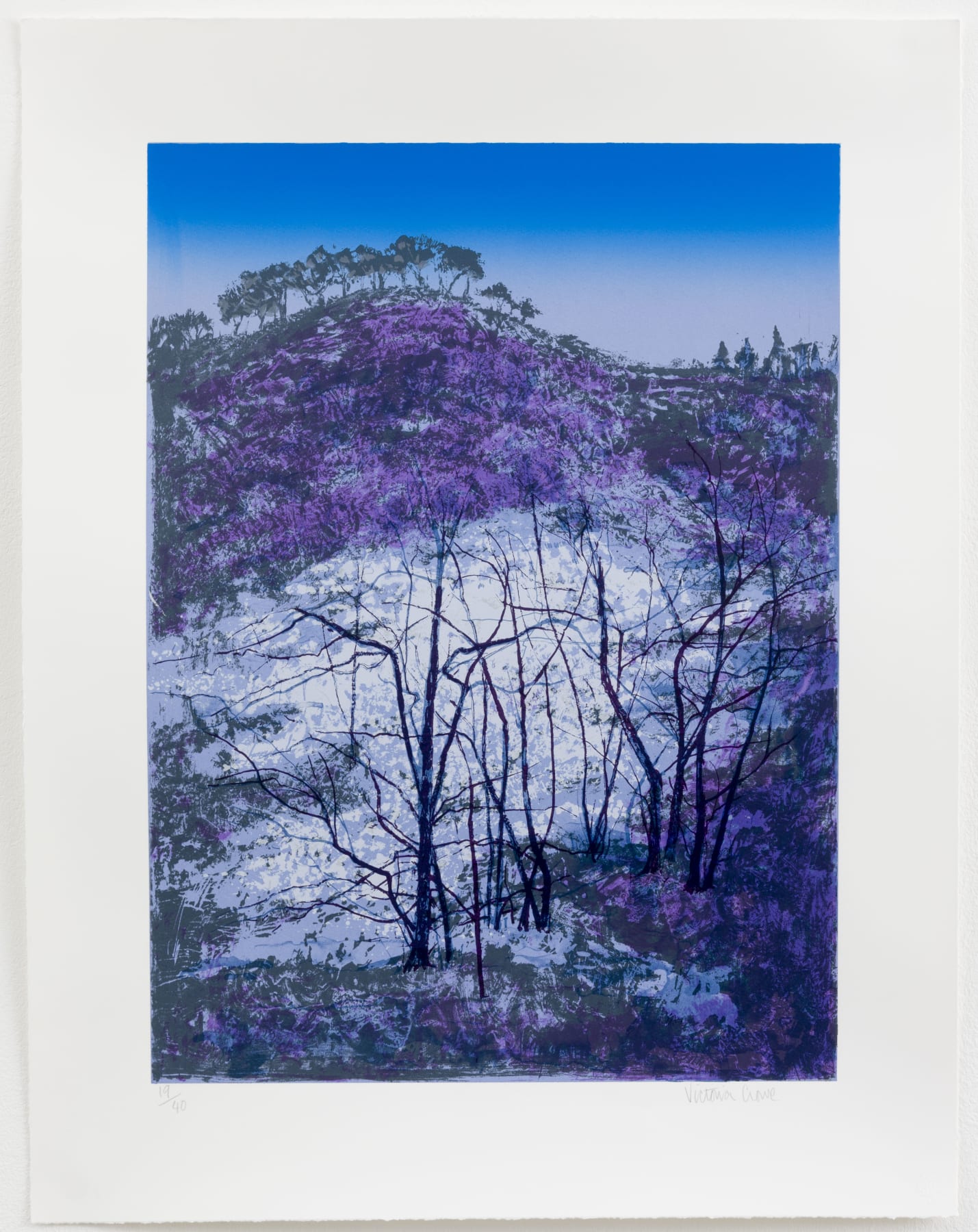 Victoria Crowe Selected Prints
